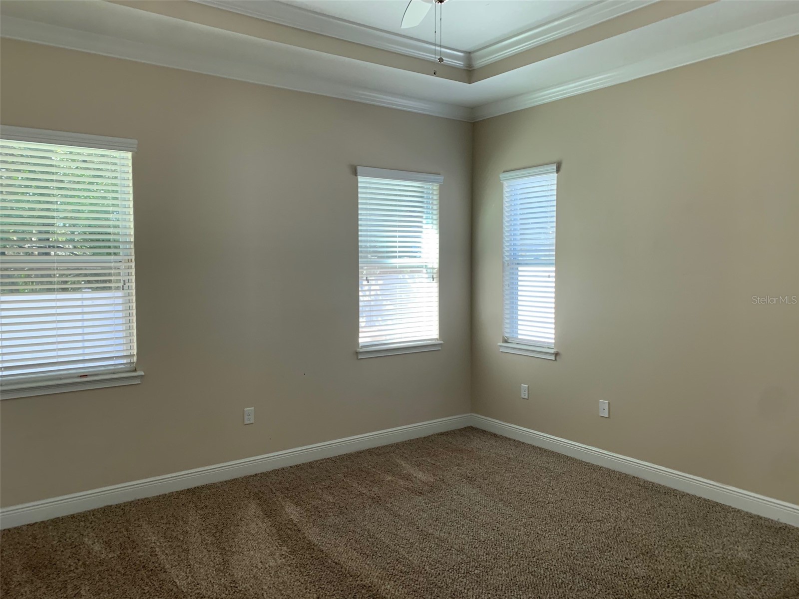 11514 Quiet Forest Drive Tampa FL 33635 TB8513915 image10