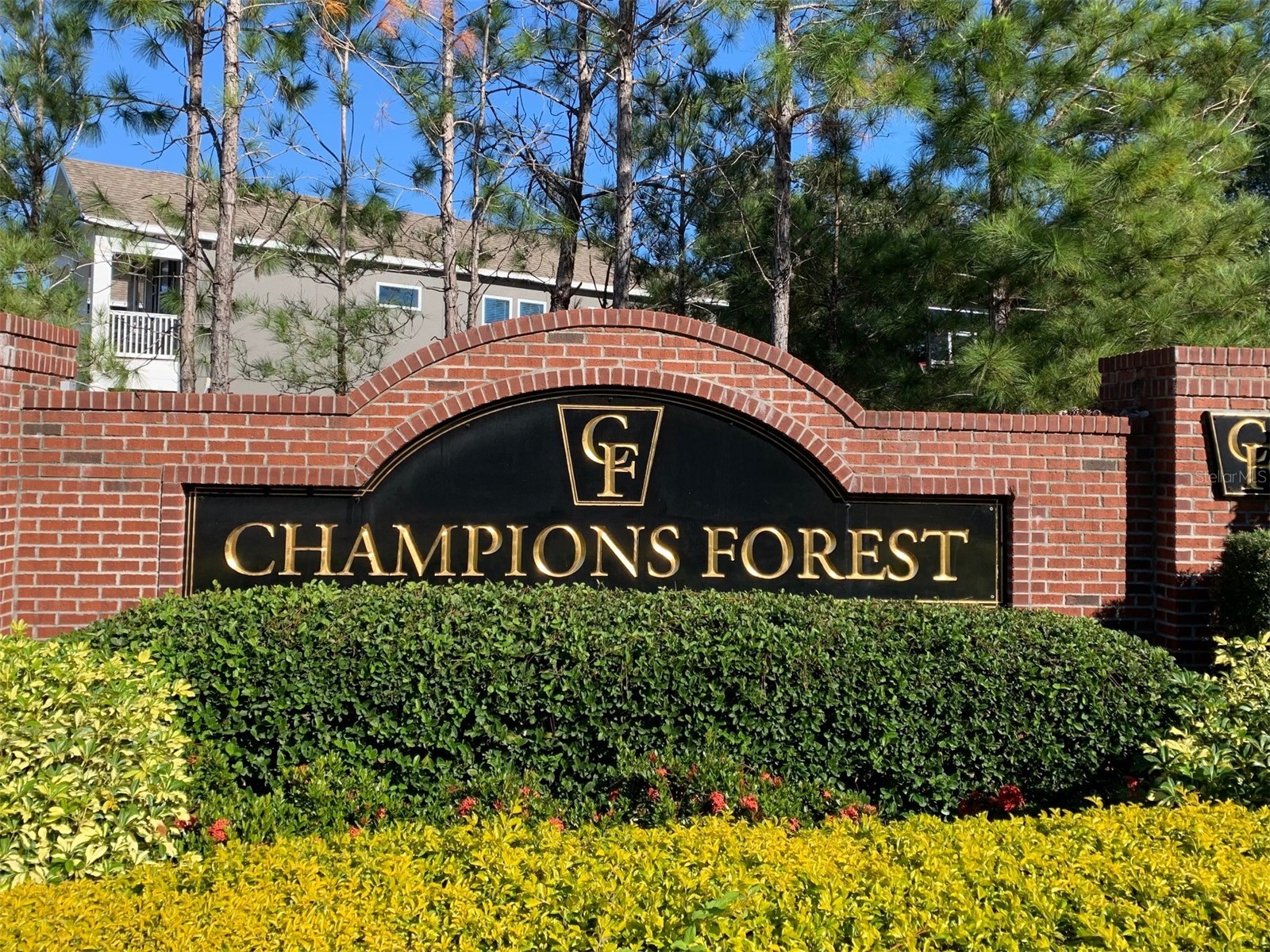 11514 Quiet Forest Drive Tampa FL 33635 TB8513915 image2