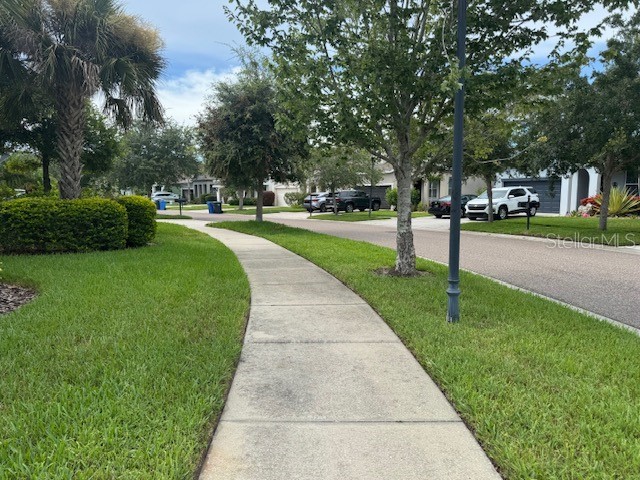 11514 Quiet Forest Drive Tampa FL 33635 TB8513915 image35