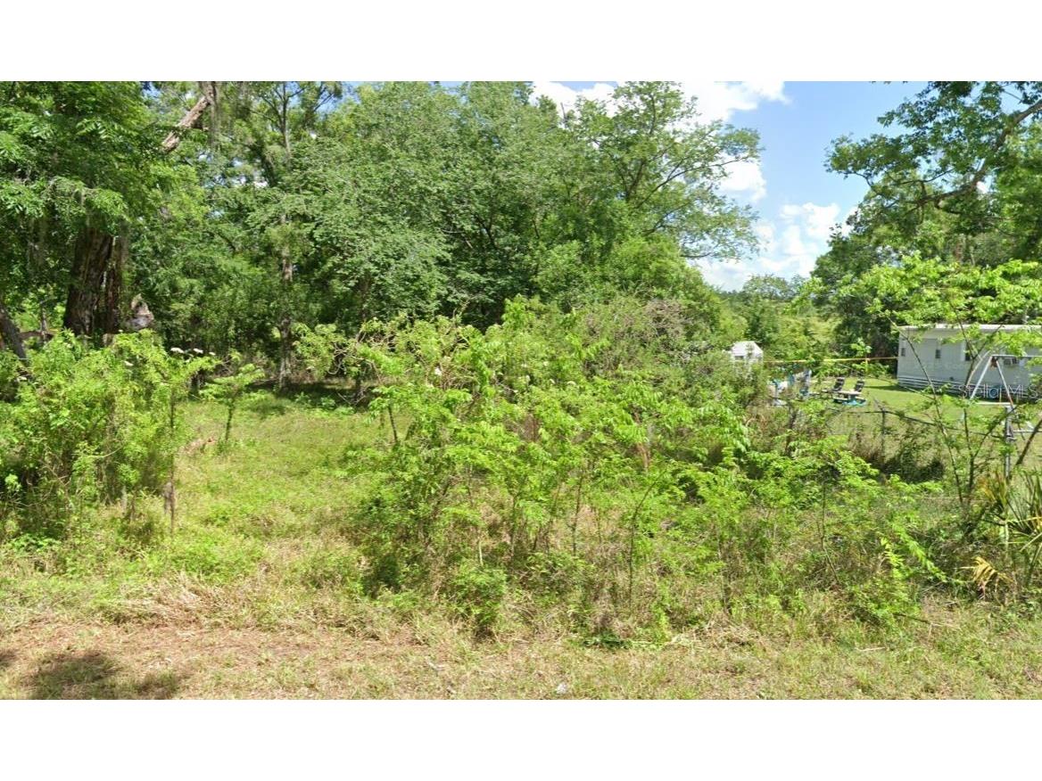 11515 County Rd 675 W Webster FL 33597 A4687633 image2