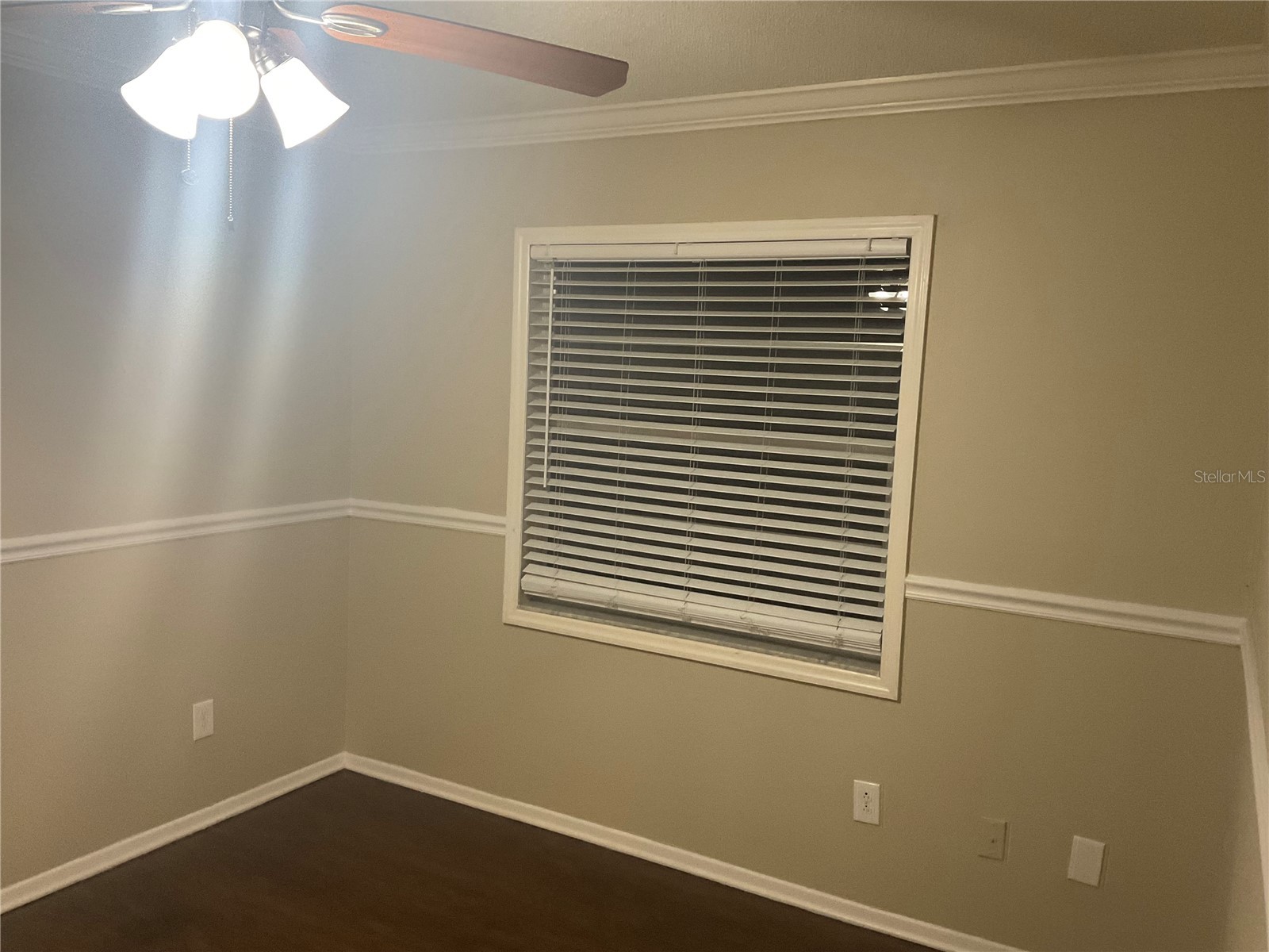 11515 Paperwood Place Riverview FL 33579 TB8474880 image5