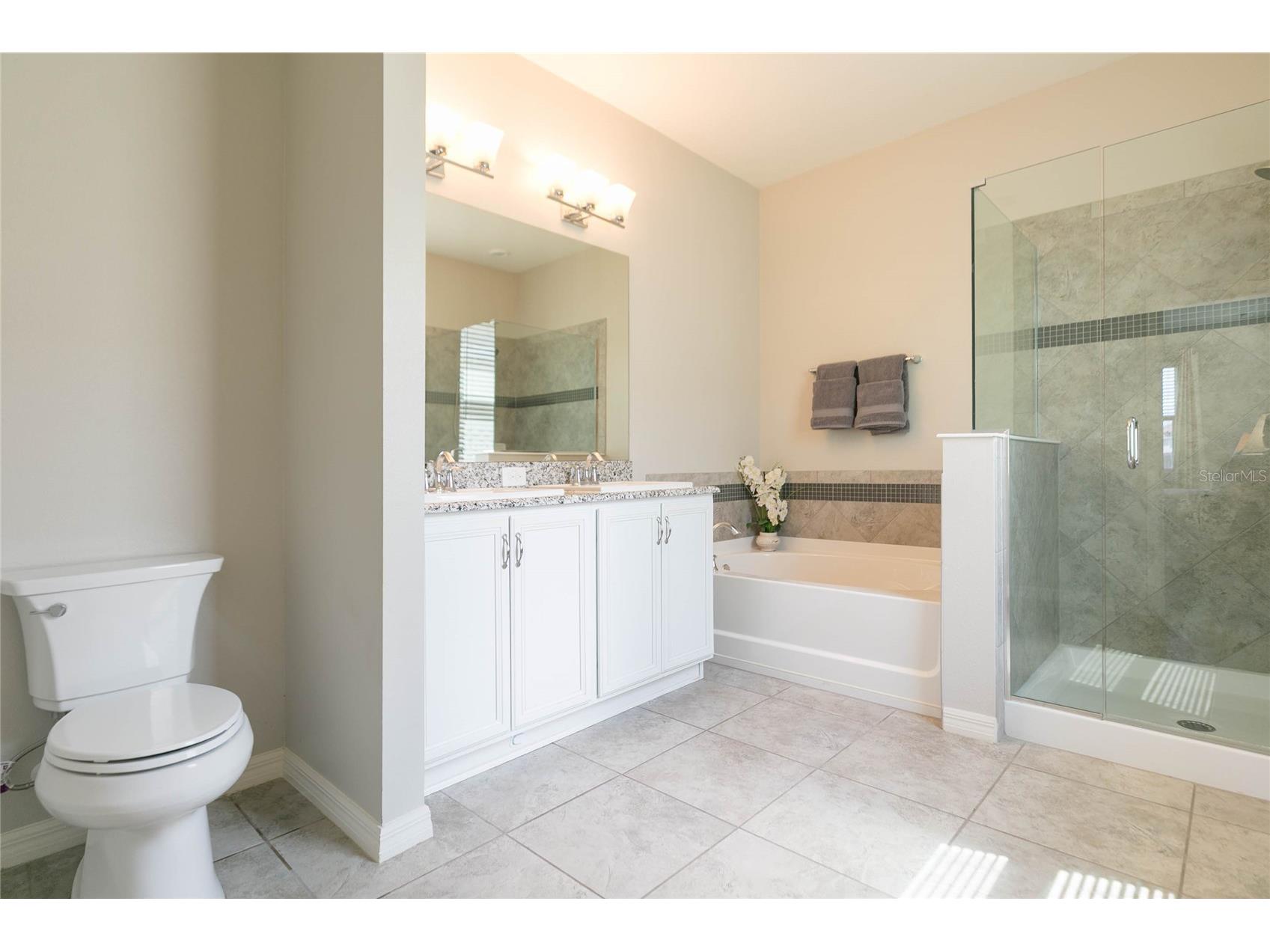 11516 Luckygem Drive Riverview FL 33579 TB8505894 image22