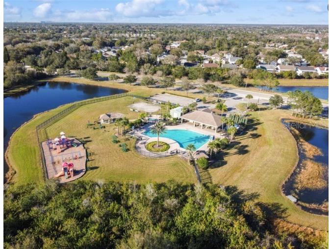 11516 Luckygem Drive Riverview FL 33579 TB8505894 image40