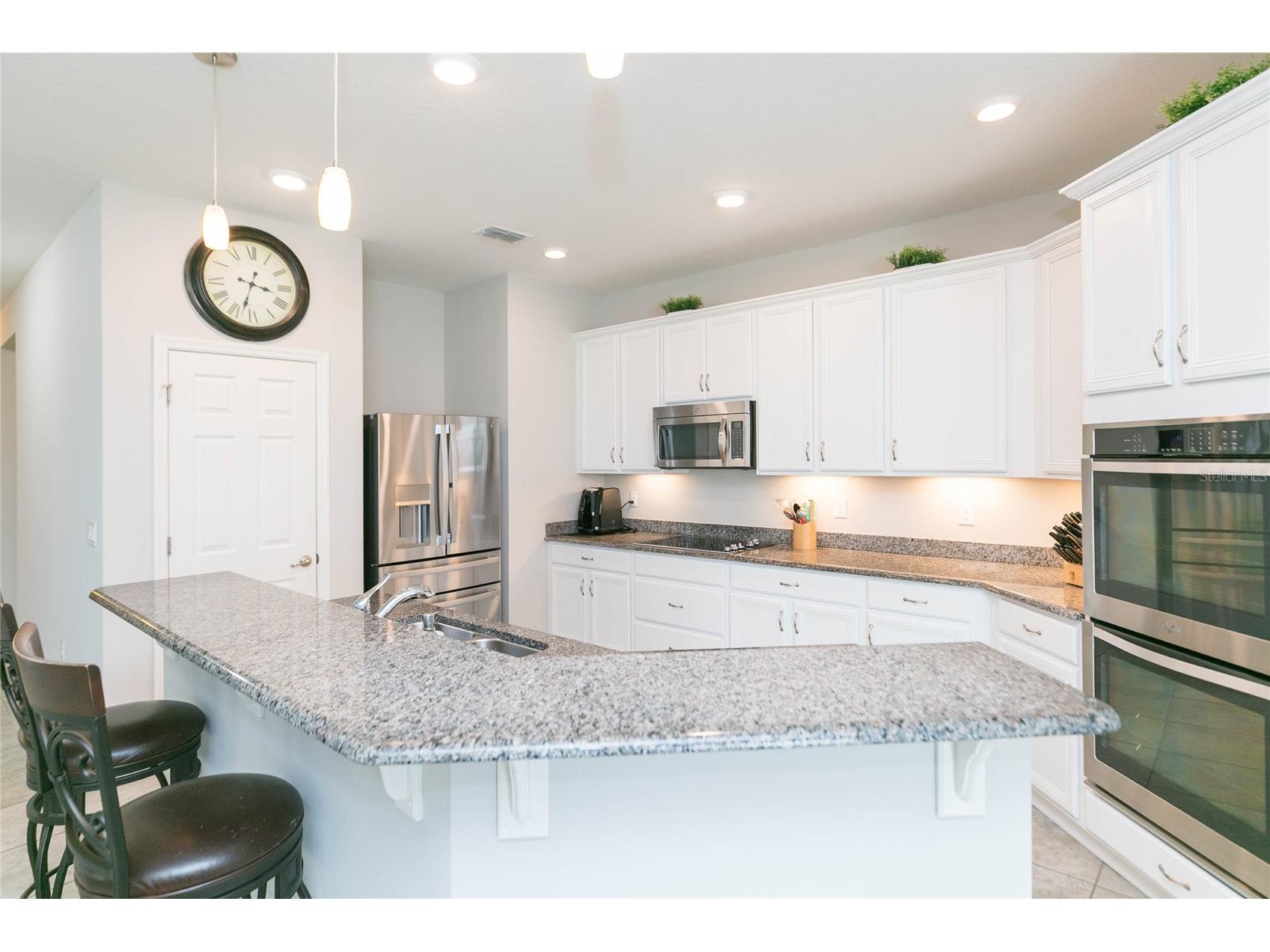 11516 Luckygem Drive Riverview FL 33579 TB8505894 image8