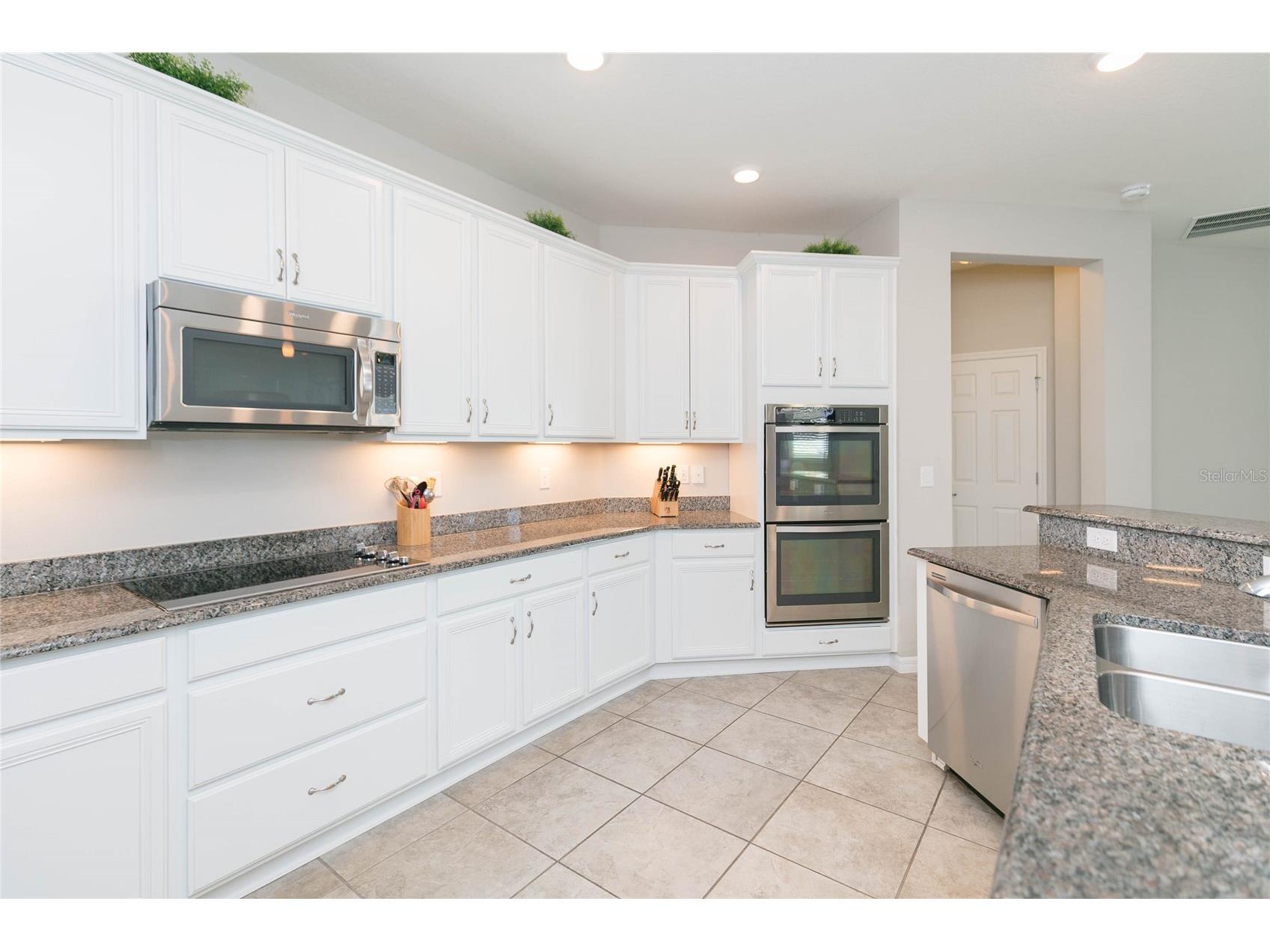 11516 Luckygem Drive Riverview FL 33579 TB8505894 image9