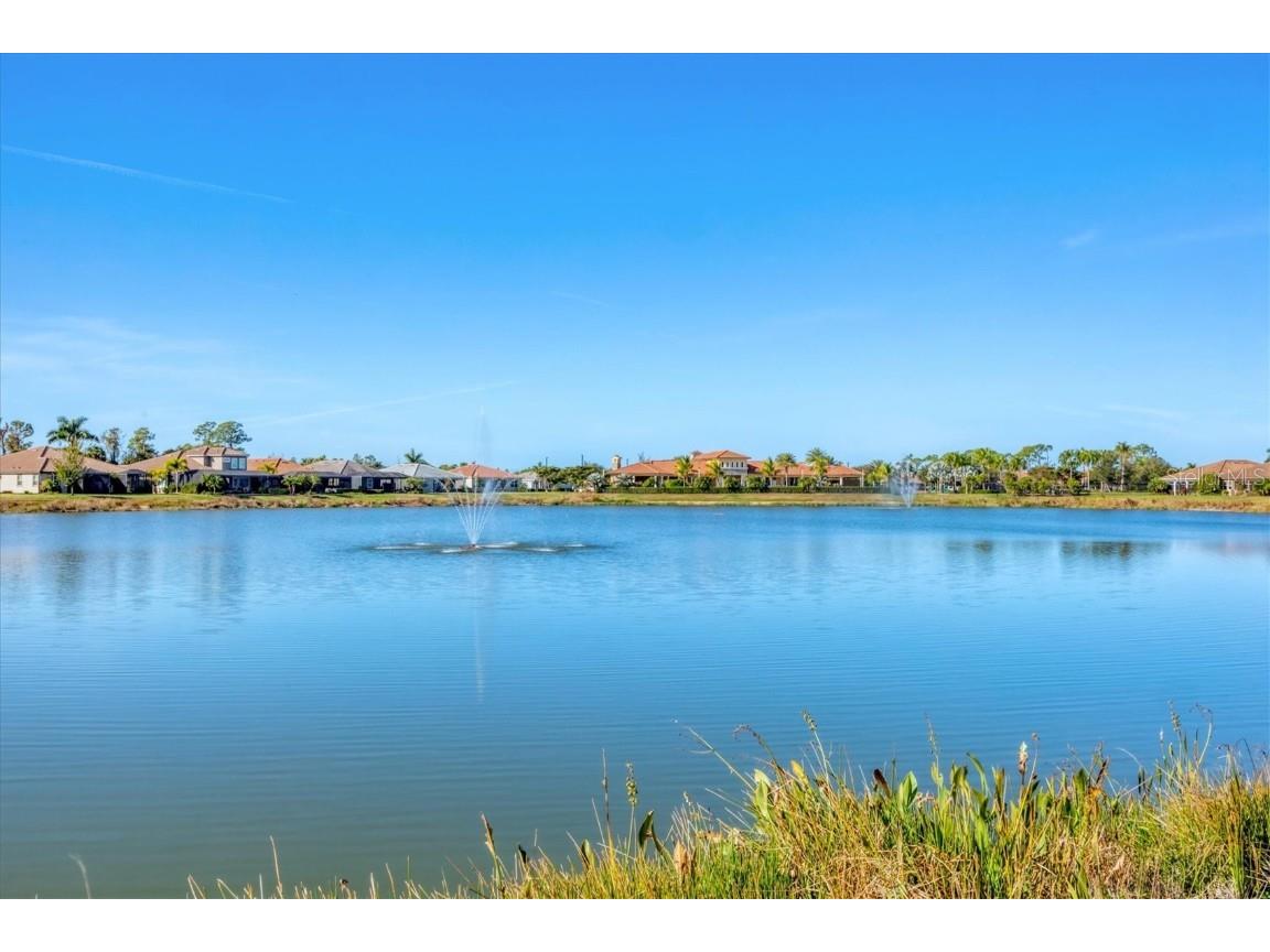 11516 Renaissance Boulevard Venice FL 34293 N6141924 image41