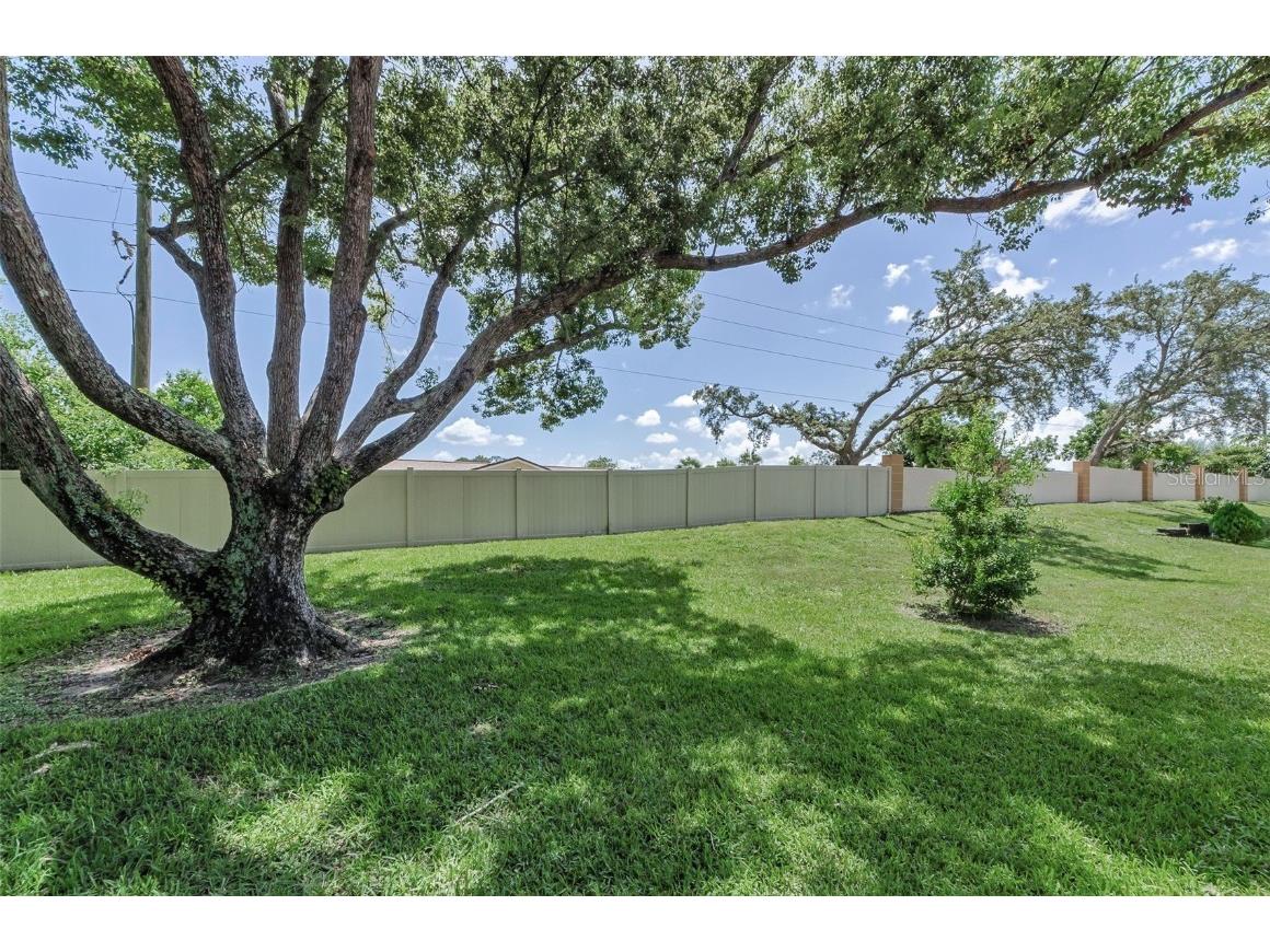 11516 Versailles Lane Port Richey FL 34668 W7877499 image33