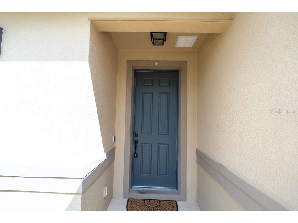 11517 Palmetto Sands Court Tampa FL 33626 TB8511149 image31