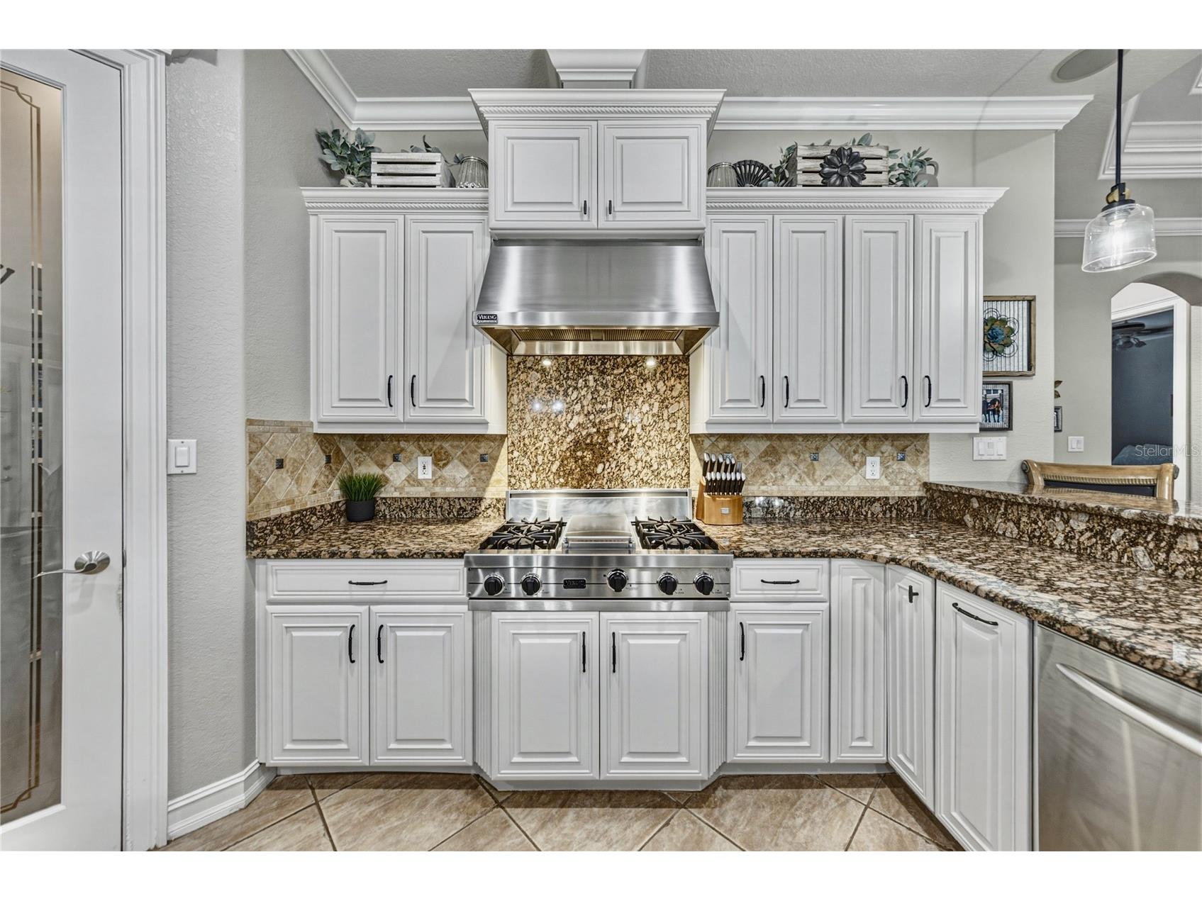 11518 Hammock Oaks Court Lithia FL 33547 TB8524722 image15