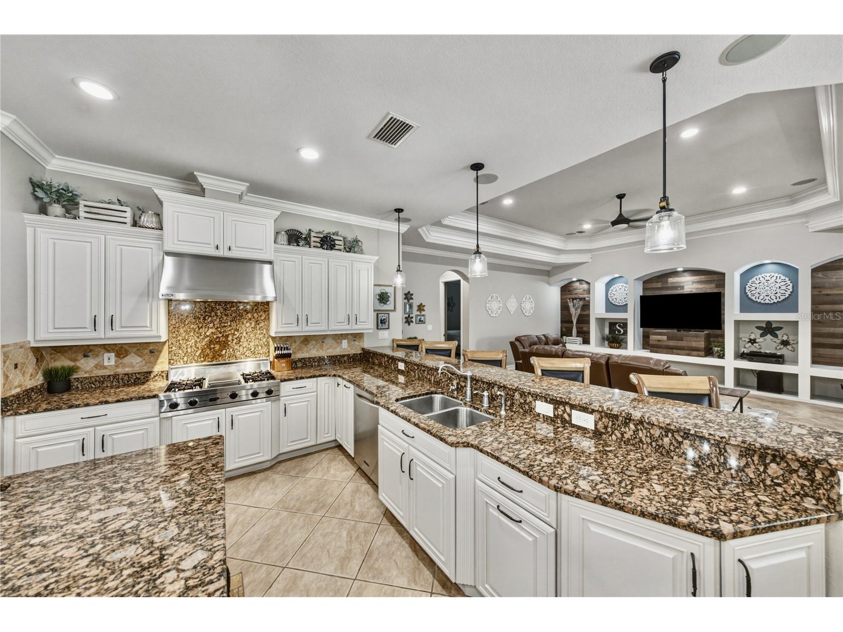 11518 Hammock Oaks Court Lithia FL 33547 TB8524722 image16