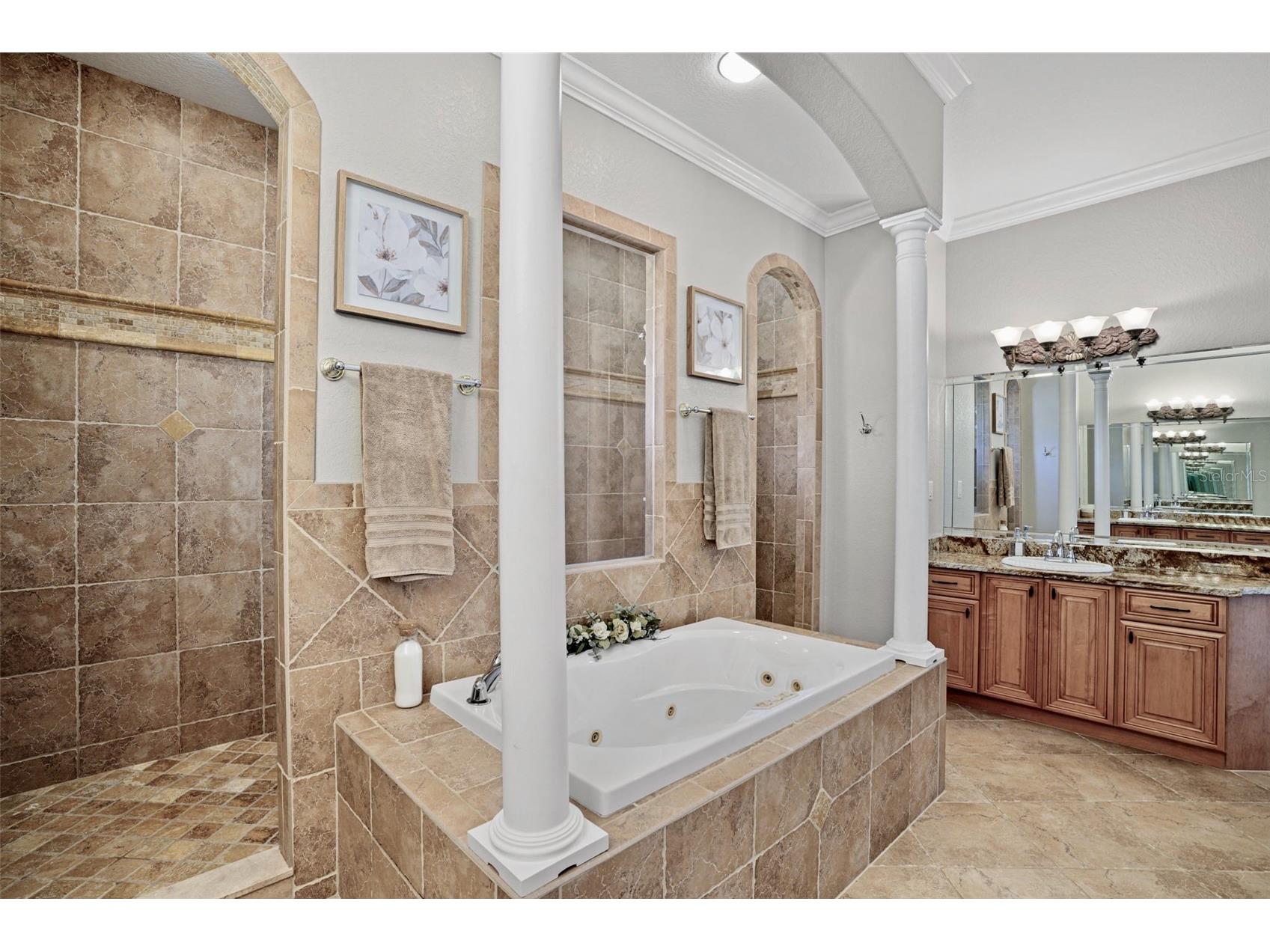 11518 Hammock Oaks Court Lithia FL 33547 TB8524722 image31