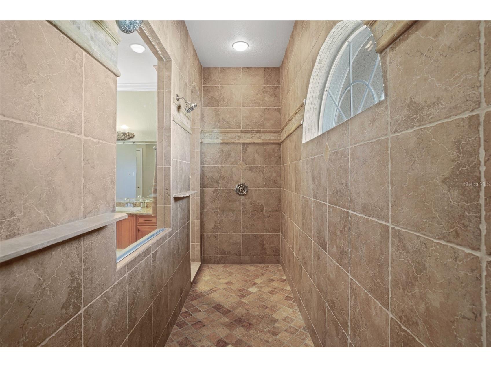 11518 Hammock Oaks Court Lithia FL 33547 TB8524722 image32