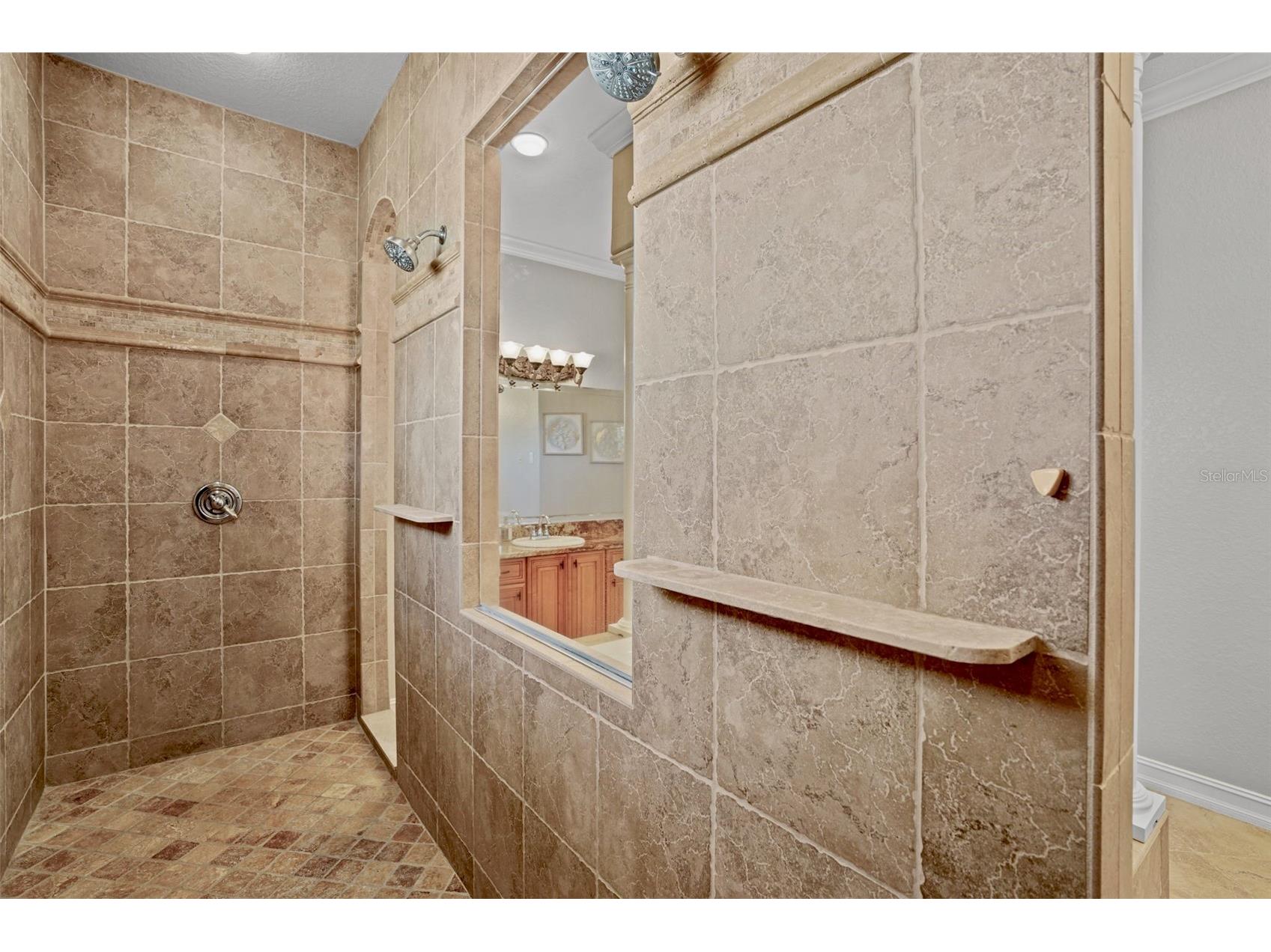 11518 Hammock Oaks Court Lithia FL 33547 TB8524722 image33