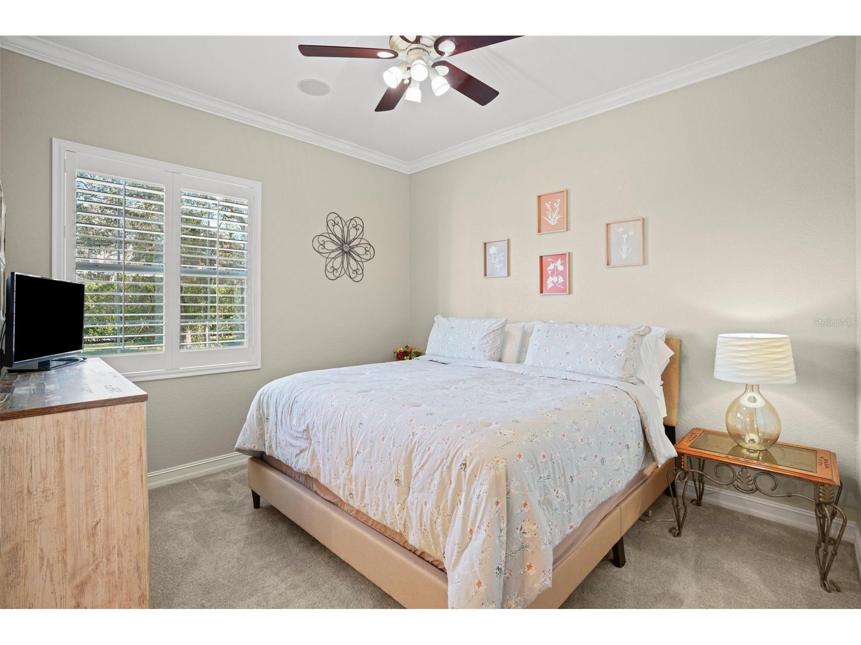 11518 Hammock Oaks Court Lithia FL 33547 TB8524722 image43