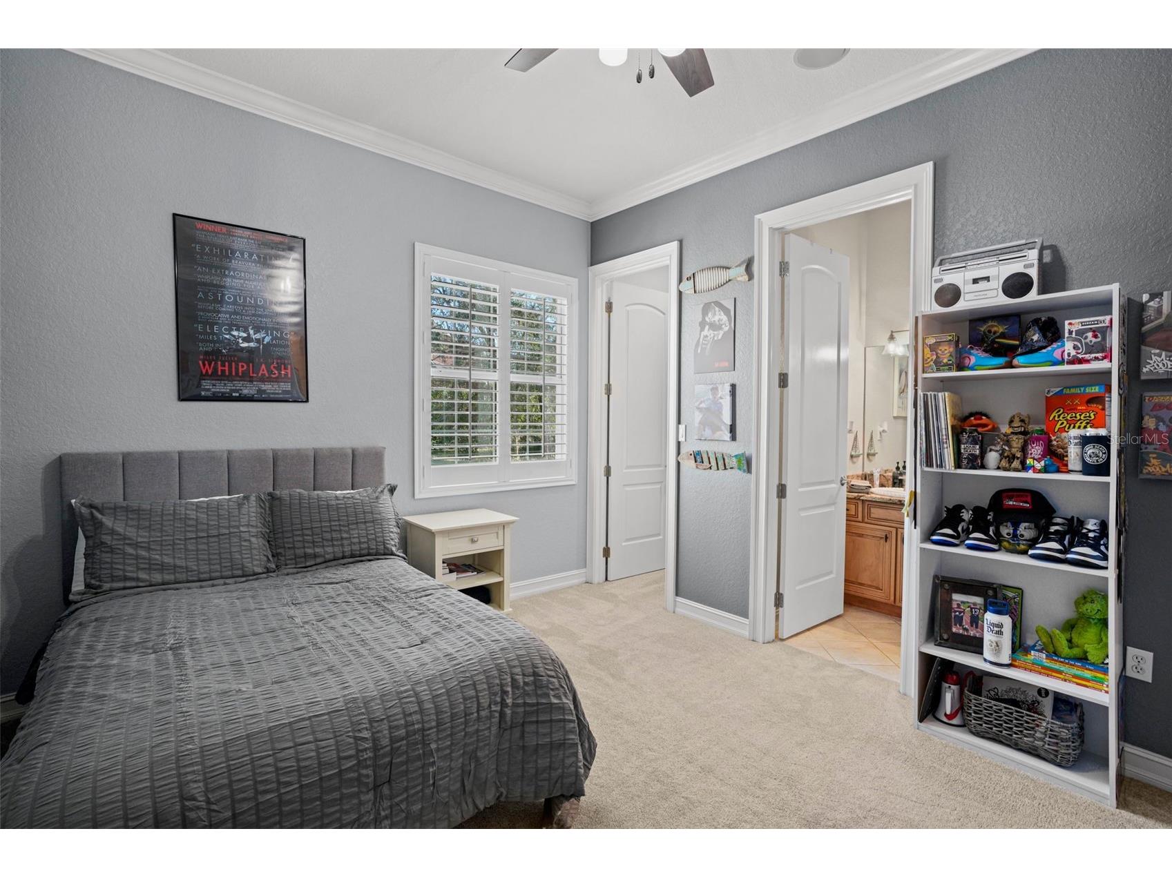 11518 Hammock Oaks Court Lithia FL 33547 TB8524722 image47
