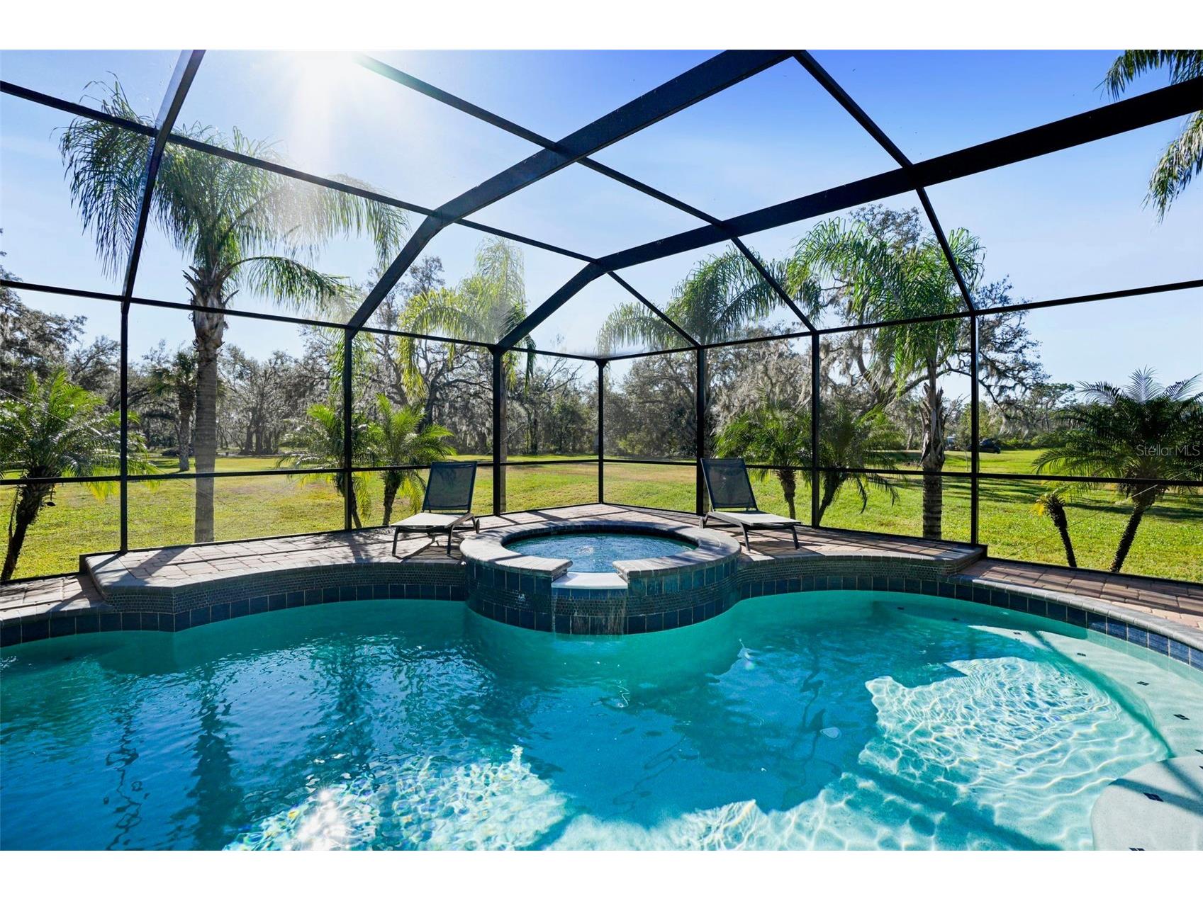 11518 Hammock Oaks Court Lithia FL 33547 TB8524722 image59