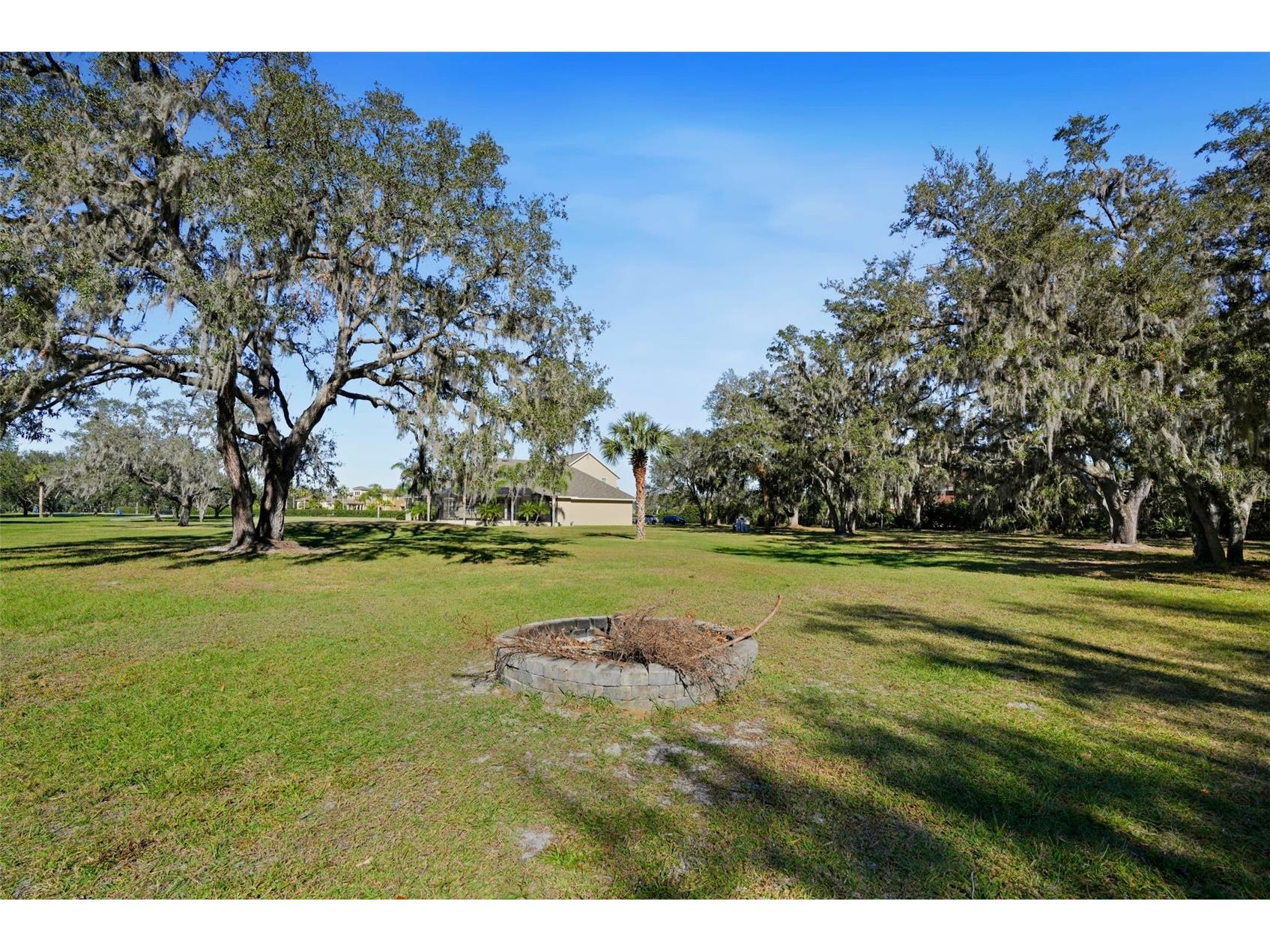 11518 Hammock Oaks Court Lithia FL 33547 TB8524722 image67