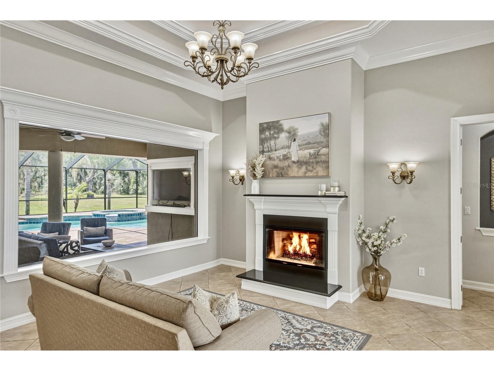 11518 Hammock Oaks Court Lithia FL 33547 TB8524722 image7