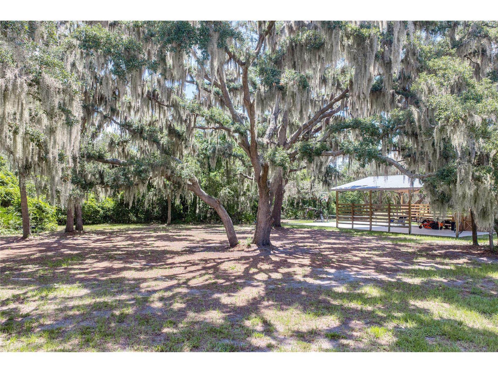 11518 Hammock Oaks Court Lithia FL 33547 TB8524722 image71