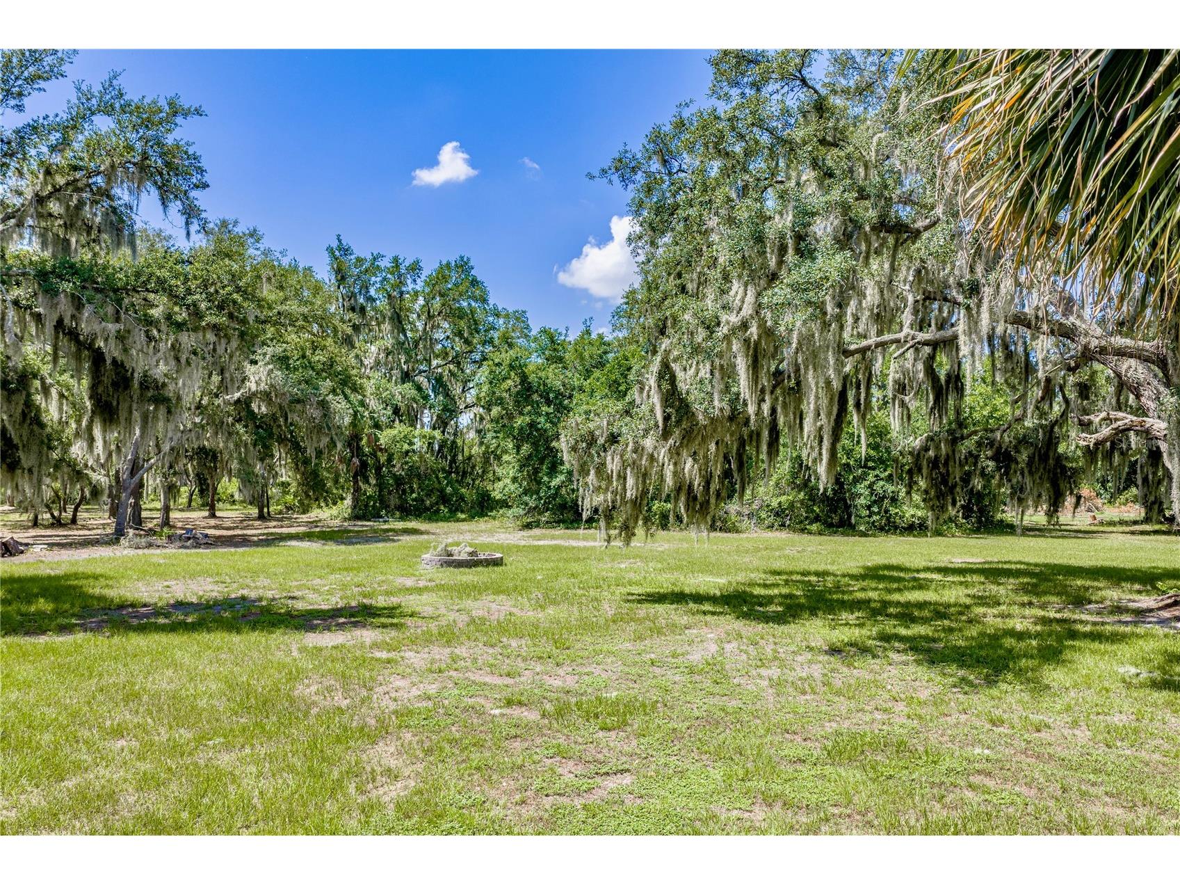 11518 Hammock Oaks Court Lithia FL 33547 TB8524722 image73