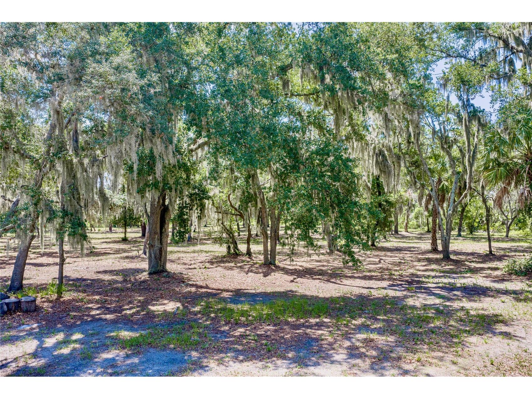 11518 Hammock Oaks Court Lithia FL 33547 TB8524722 image74