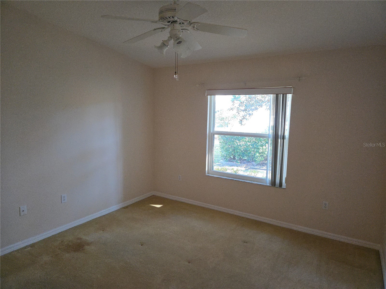 11519 Holly Ann Drive New Port Richey FL 34654 TB8478438 image11