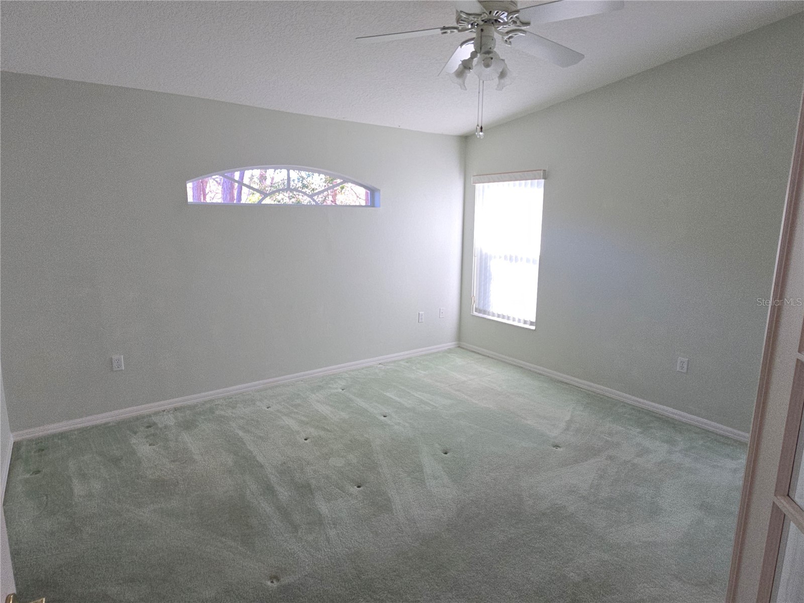 11519 Holly Ann Drive New Port Richey FL 34654 TB8478438 image13