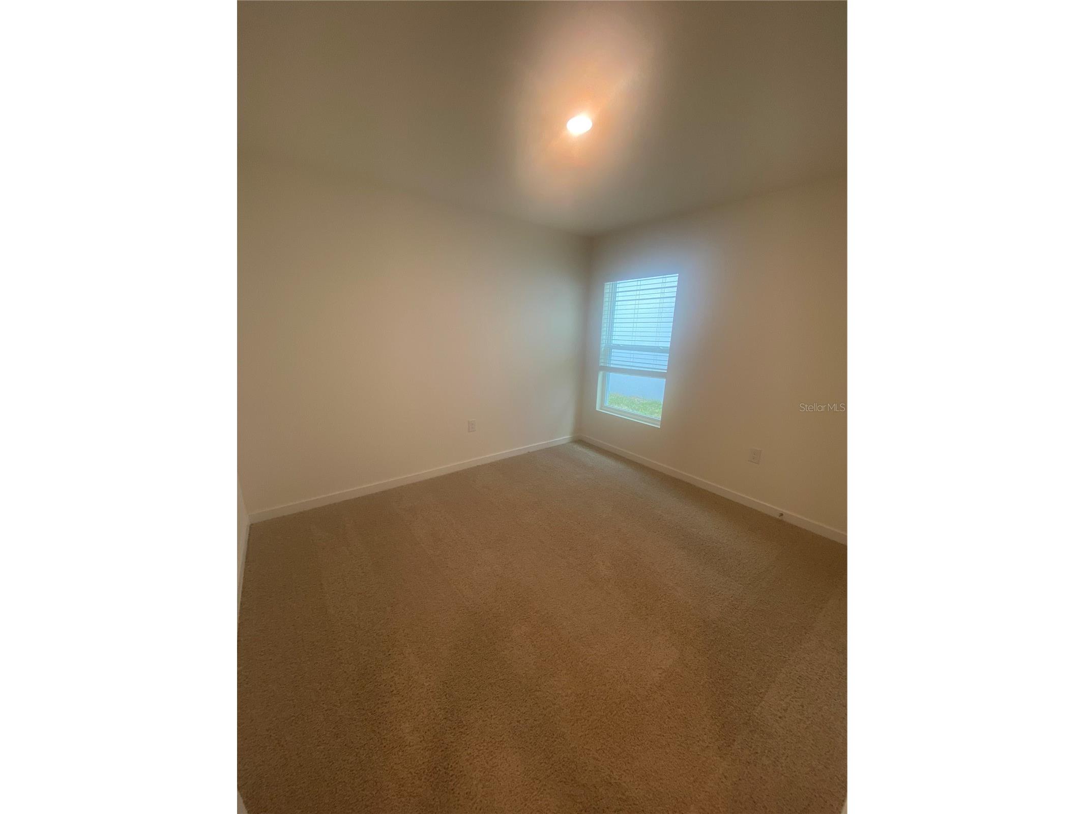 11519 Memorial Drive Brooksville FL 34613 TB8532059 image11