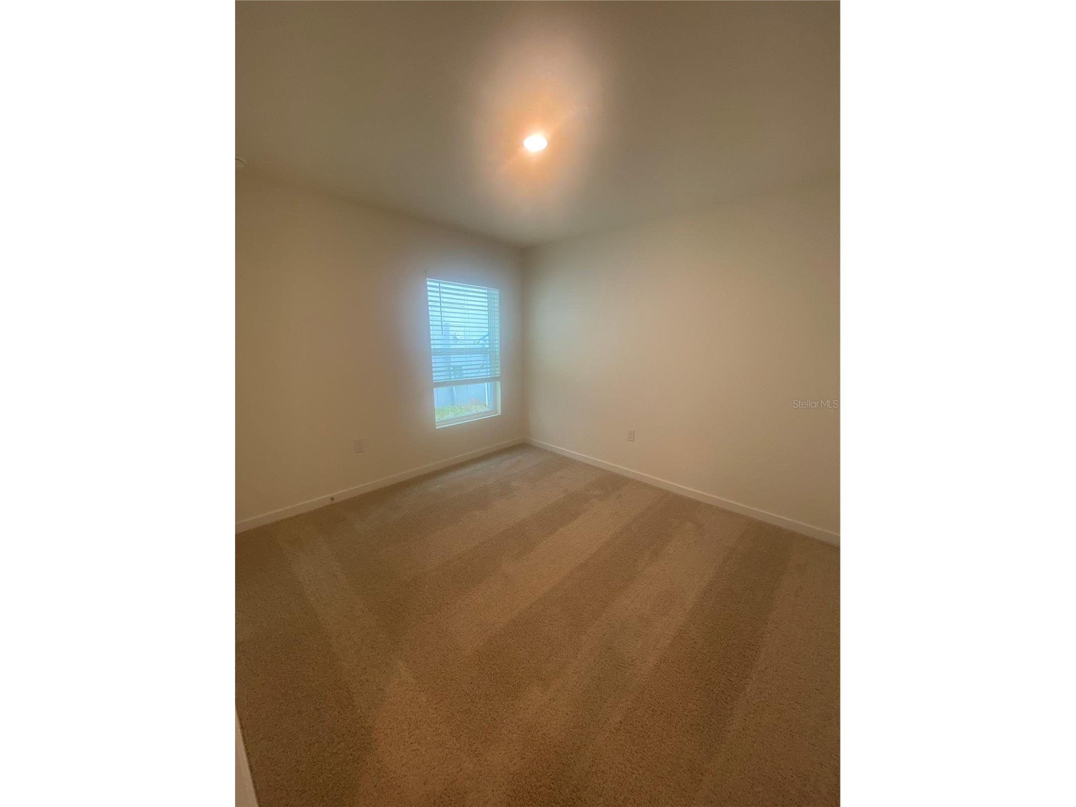 11519 Memorial Drive Brooksville FL 34613 TB8532059 image13