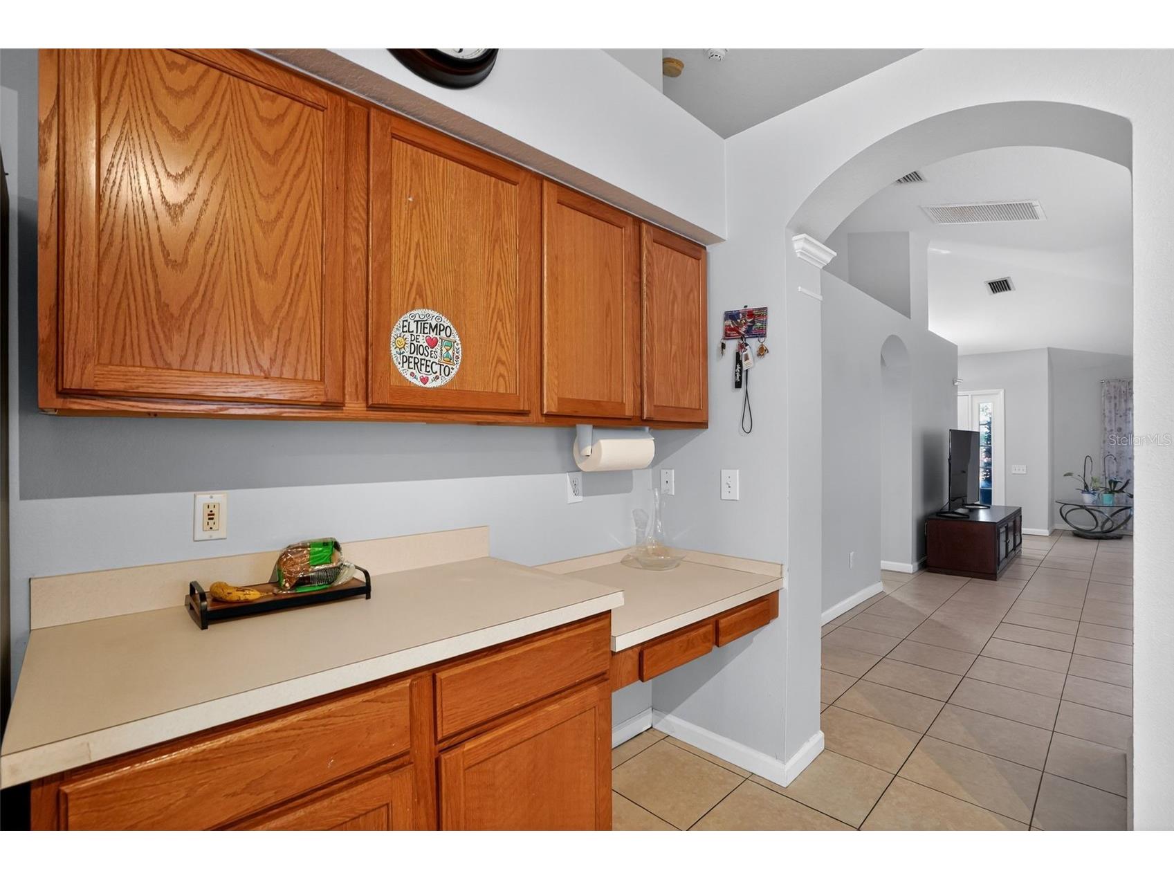 11519 Misty Isle Lane Riverview FL 33579 TB8489726 image10