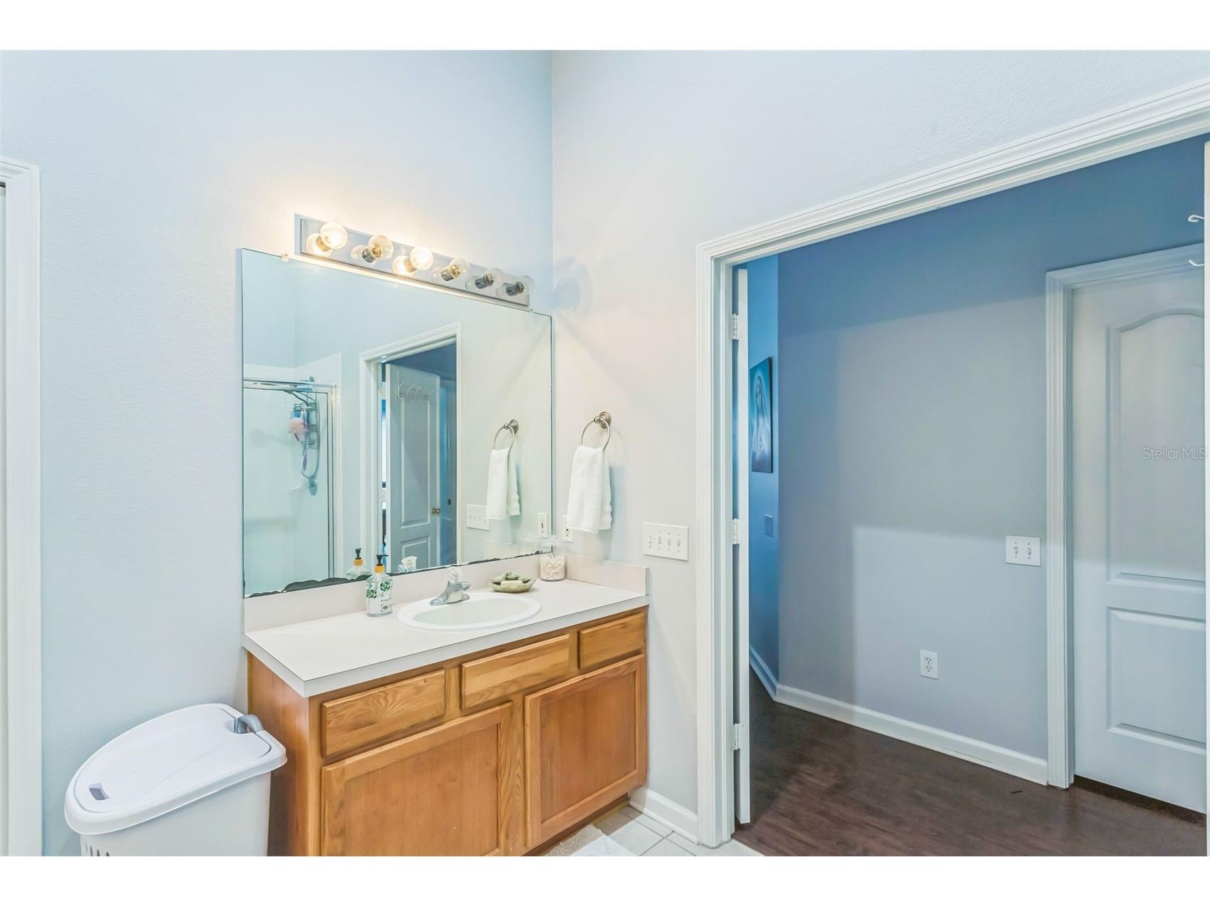11519 Misty Isle Lane Riverview FL 33579 TB8489726 image29