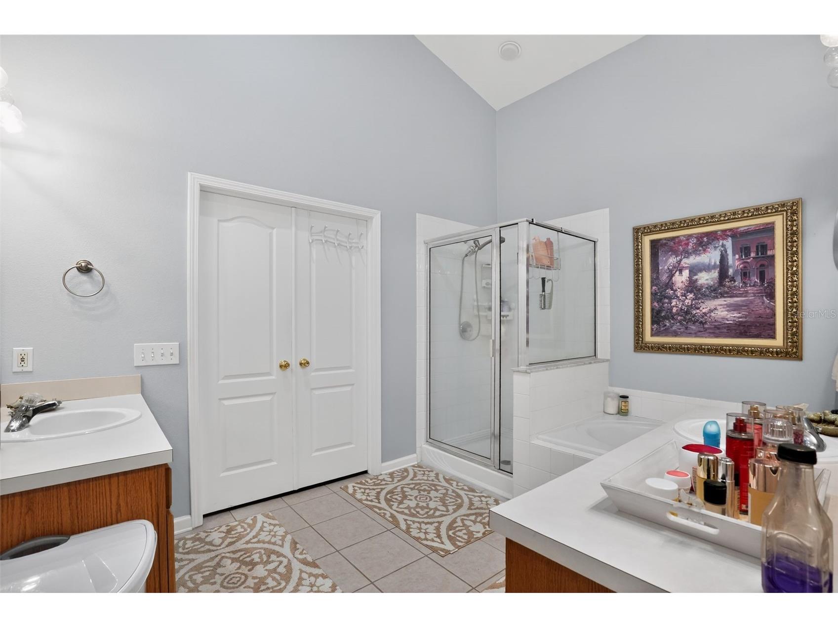 11519 Misty Isle Lane Riverview FL 33579 TB8489726 image36