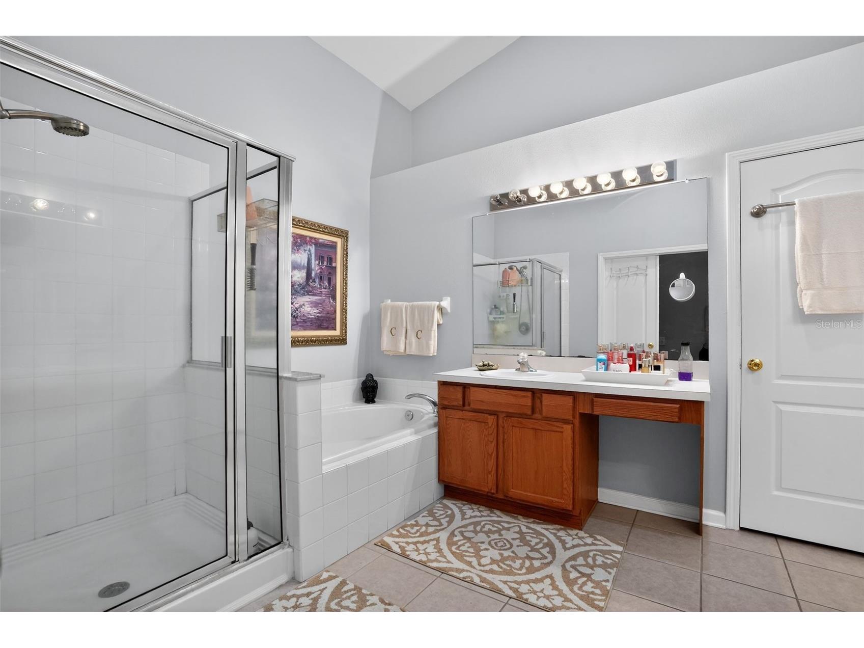 11519 Misty Isle Lane Riverview FL 33579 TB8489726 image37