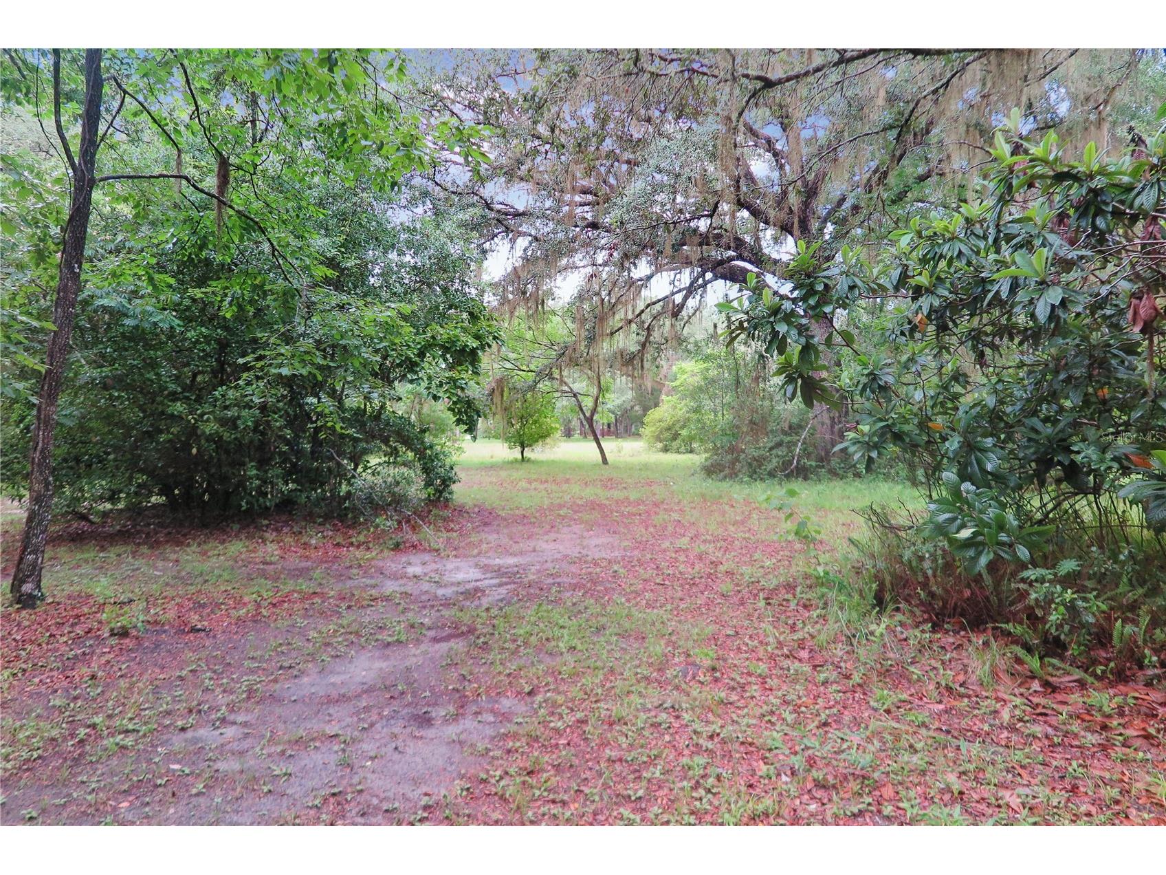 11519 SE 225th Drive Hawthorne FL 32640 GC541826 image9