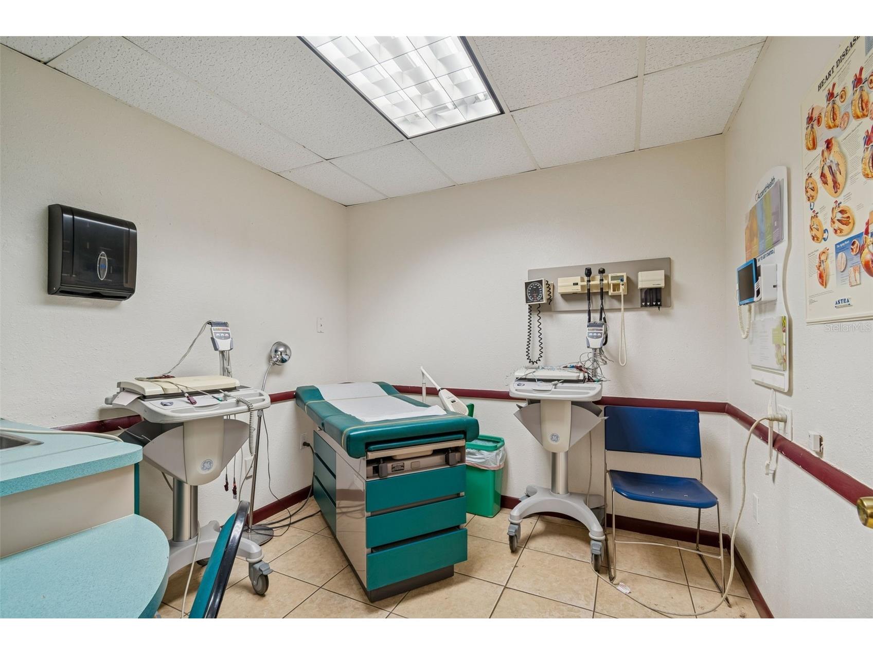1152 62nd Avenue S Saint Petersburg FL 33705 TB8471864 image47
