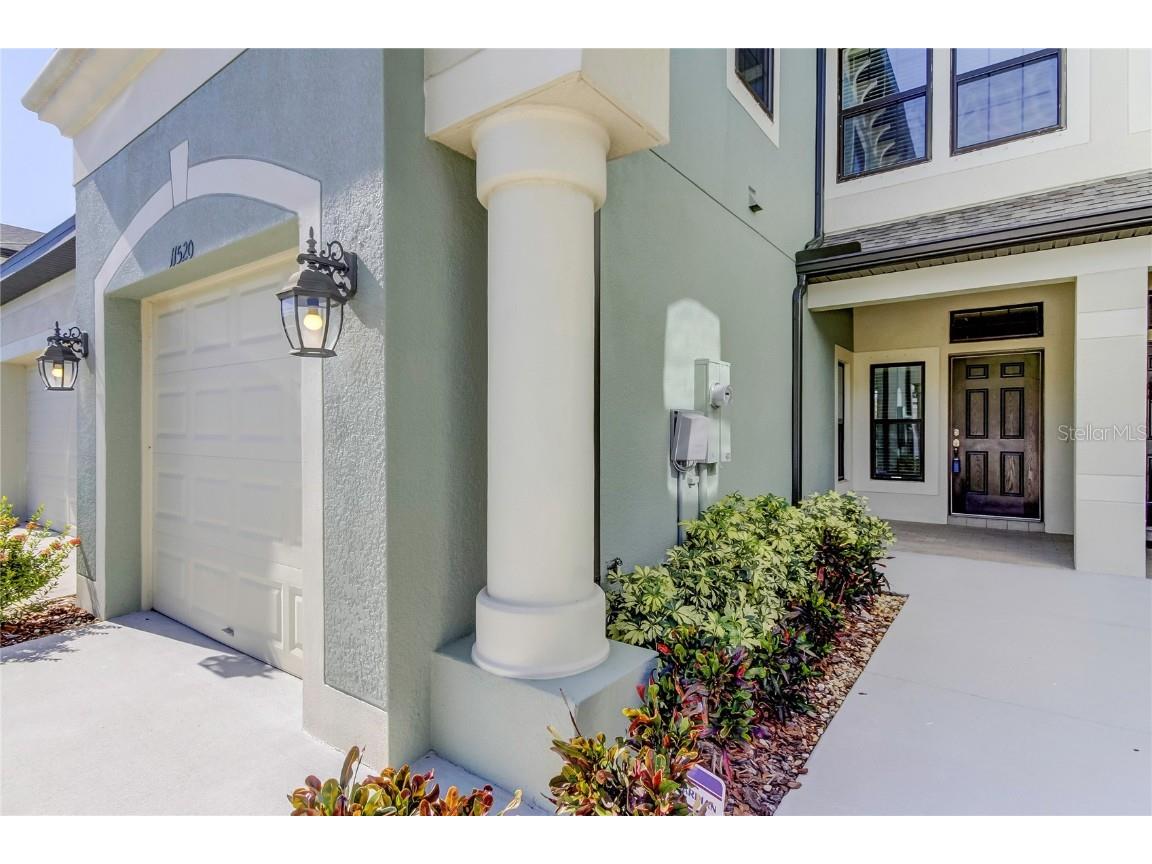 11520 Crowned Sparrow Lane Tampa FL 33626 T3541705 image1