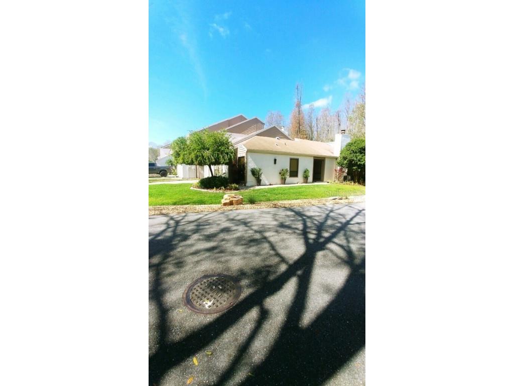 11520 Galleria Drive Tampa FL 33618 TB8353052 image1