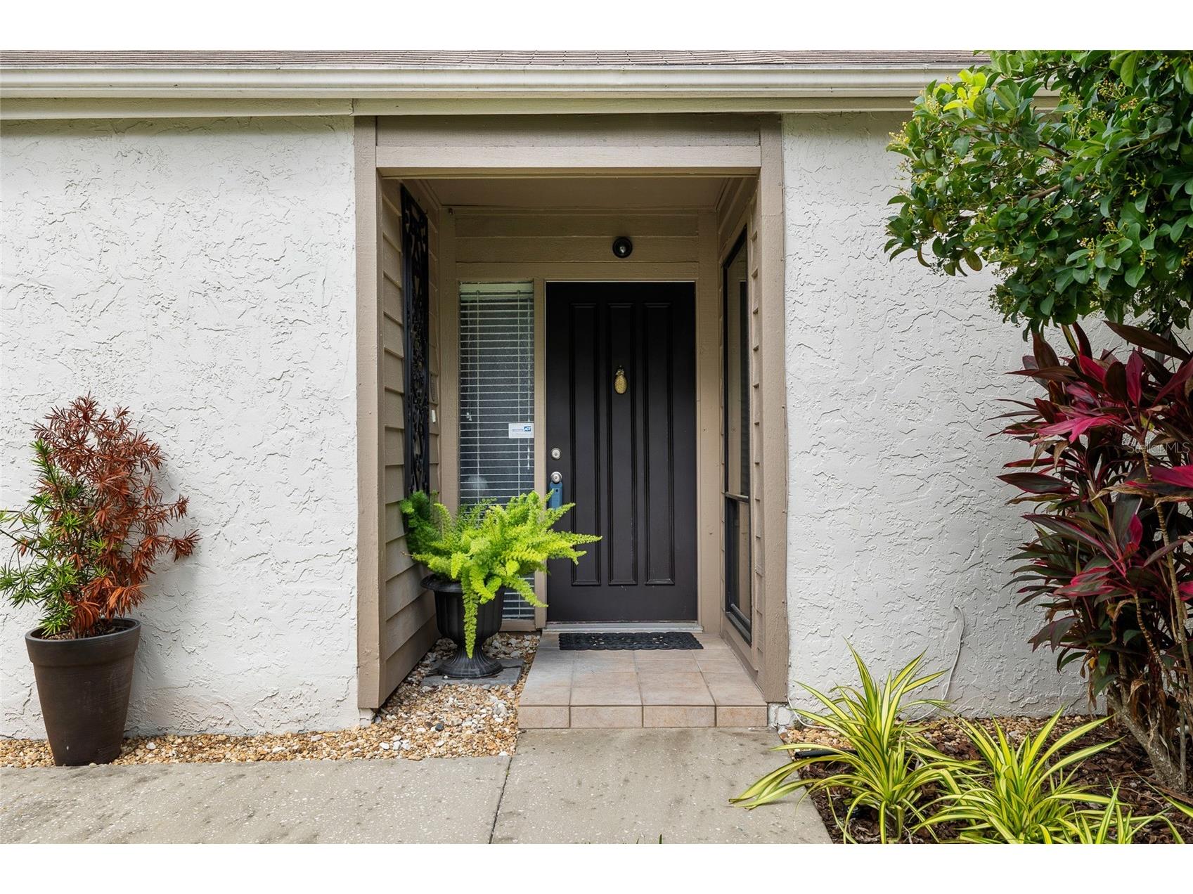 11520 Galleria Drive Tampa FL 33618 TB8526827 image4