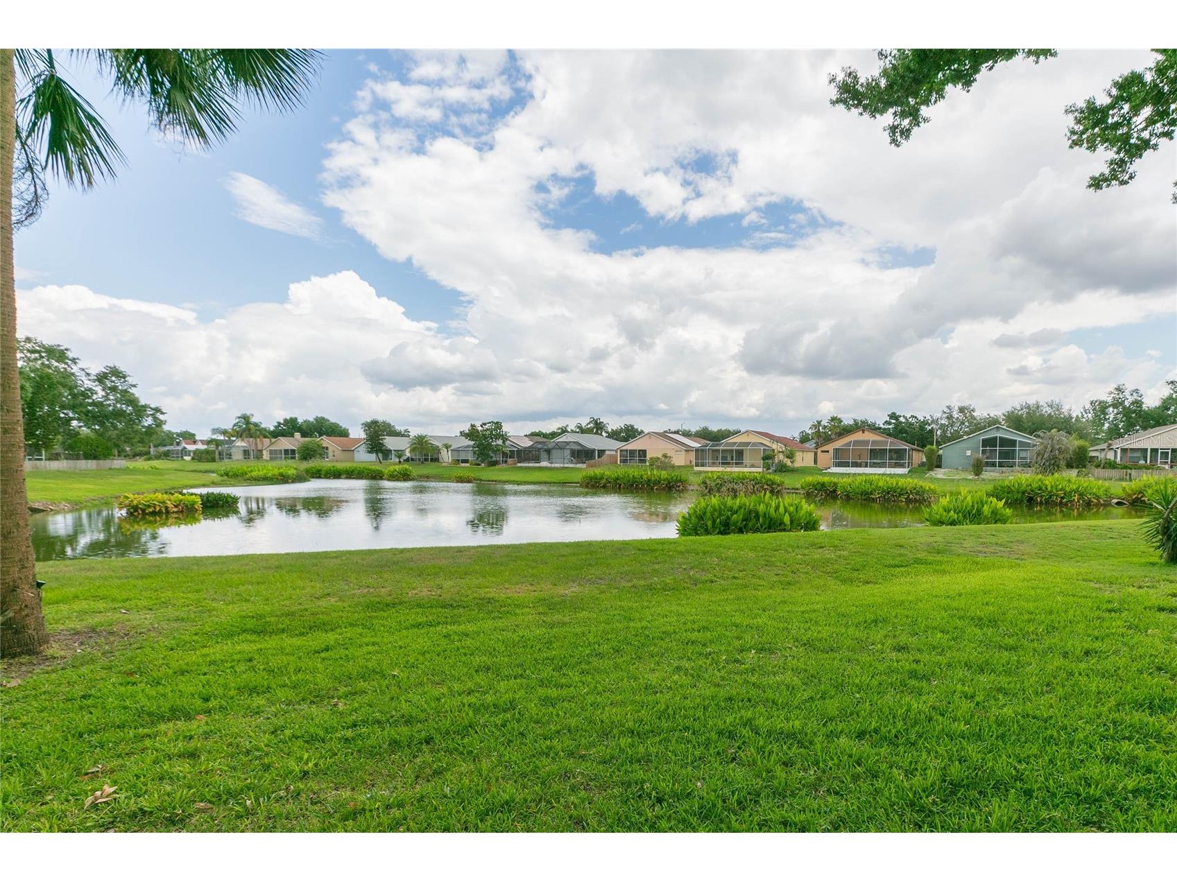 11520 Wellman Drive Riverview FL 33578 TB8518647 image46