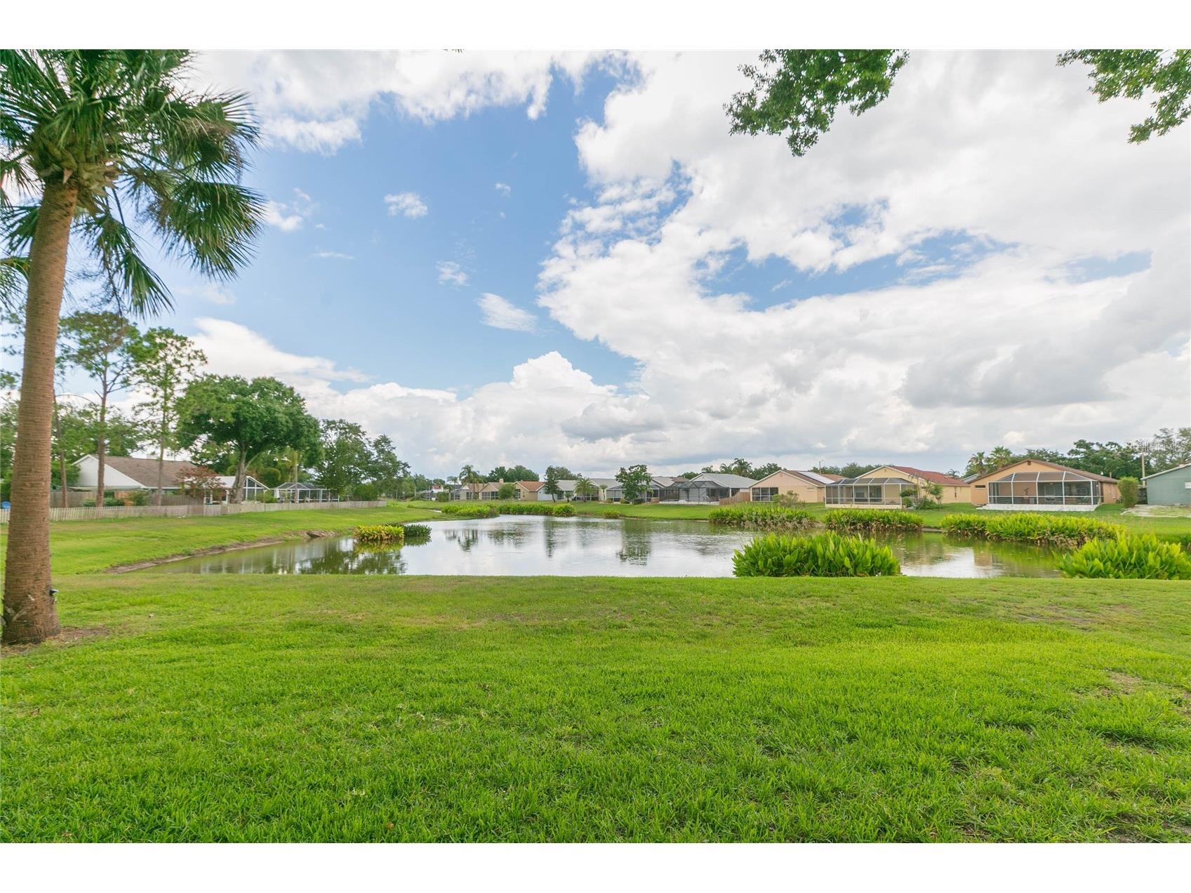 11520 Wellman Drive Riverview FL 33578 TB8518647 image6