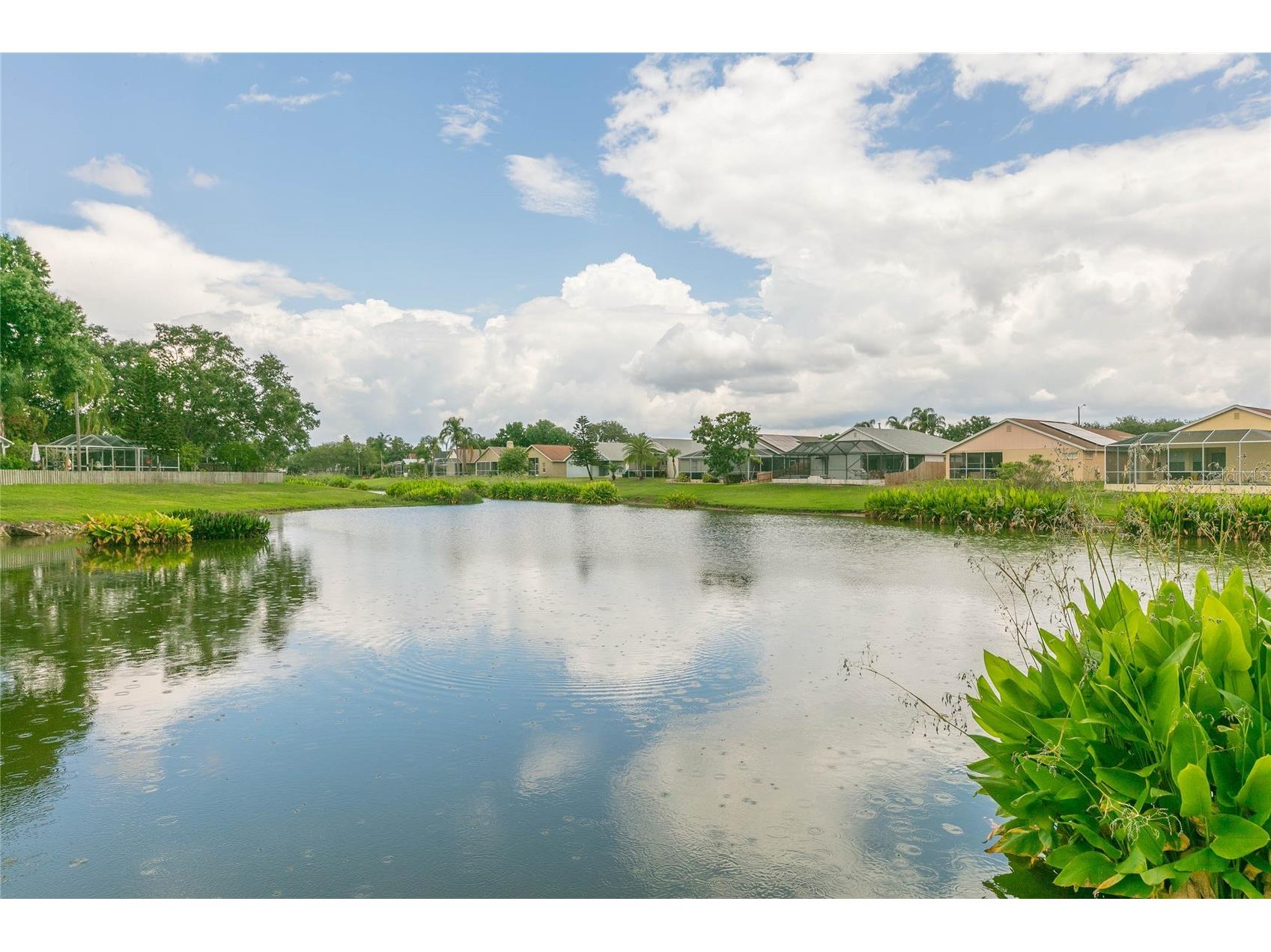 11520 Wellman Drive Riverview FL 33578 TB8518647 image7