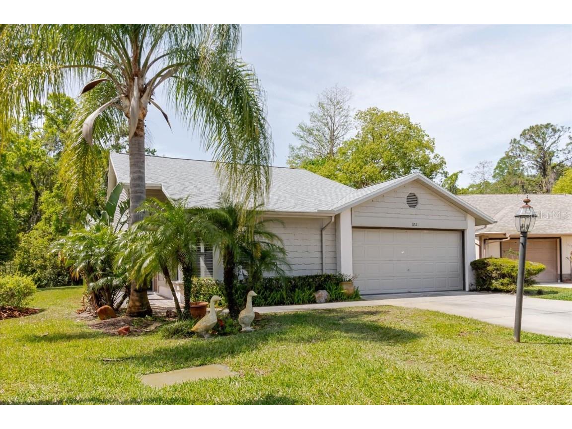 11521 Rose Tree Drive New Port Richey FL 34654 TB8365155 image1