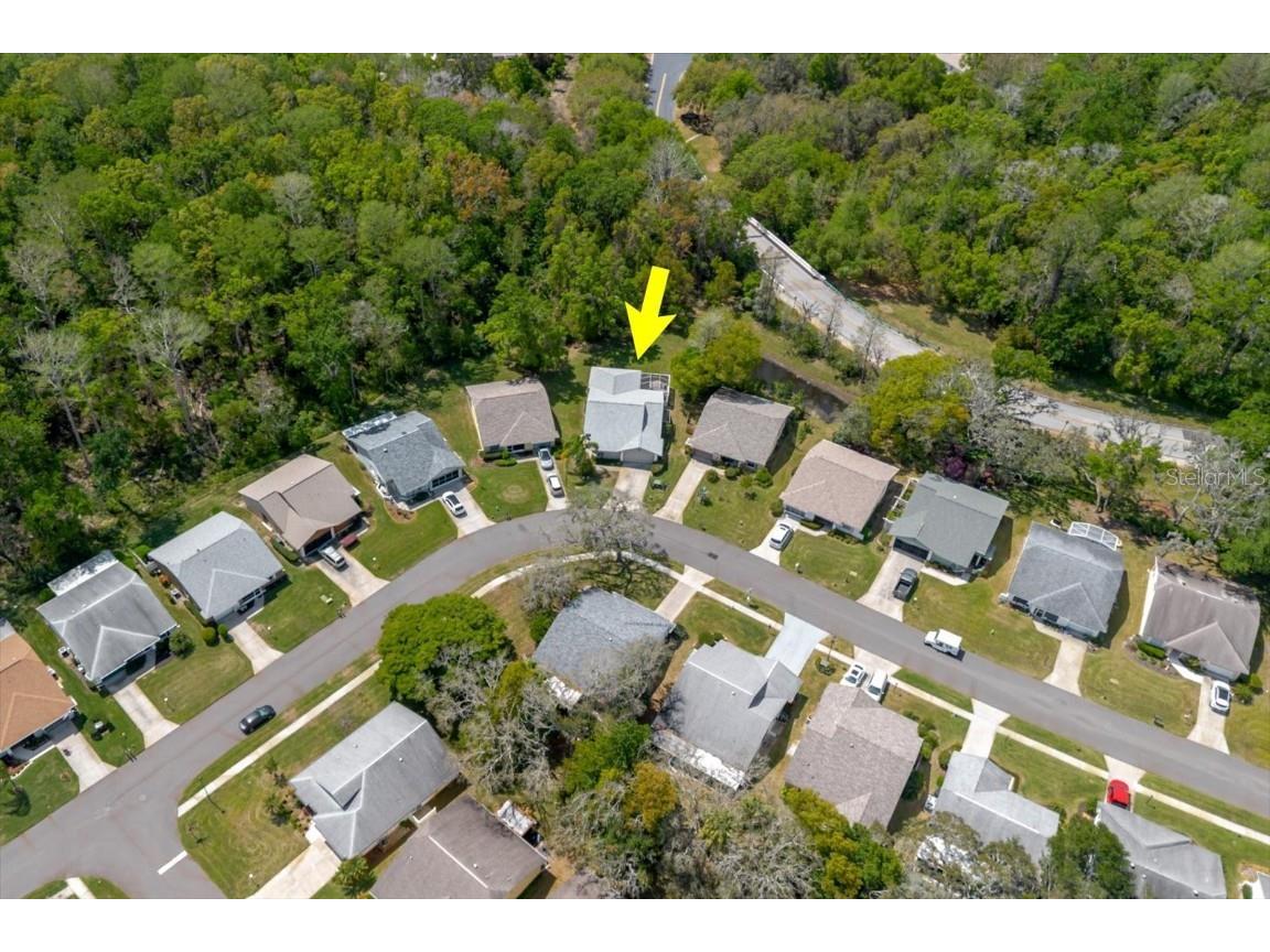 11521 Rose Tree Drive New Port Richey FL 34654 TB8365155 image20