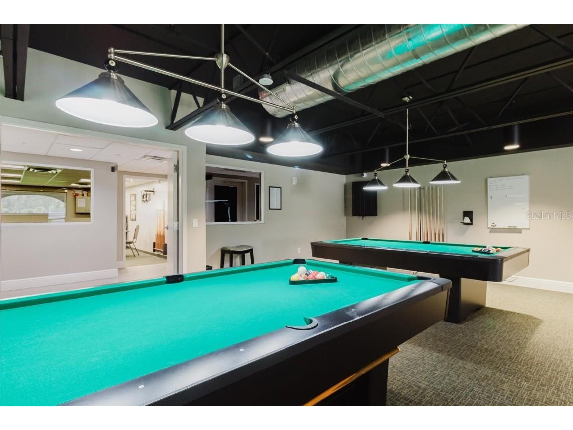 11521 Rose Tree Drive New Port Richey FL 34654 TB8365155 image24