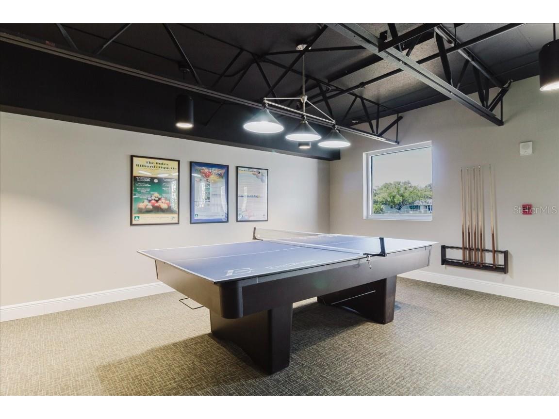 11521 Rose Tree Drive New Port Richey FL 34654 TB8365155 image25