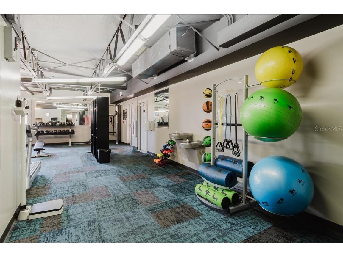 11521 Rose Tree Drive New Port Richey FL 34654 TB8365155 image30