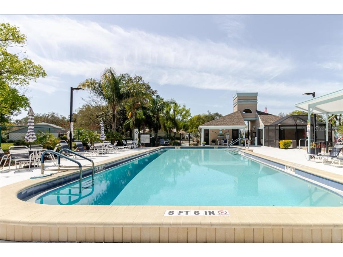 11521 Rose Tree Drive New Port Richey FL 34654 TB8365155 image36