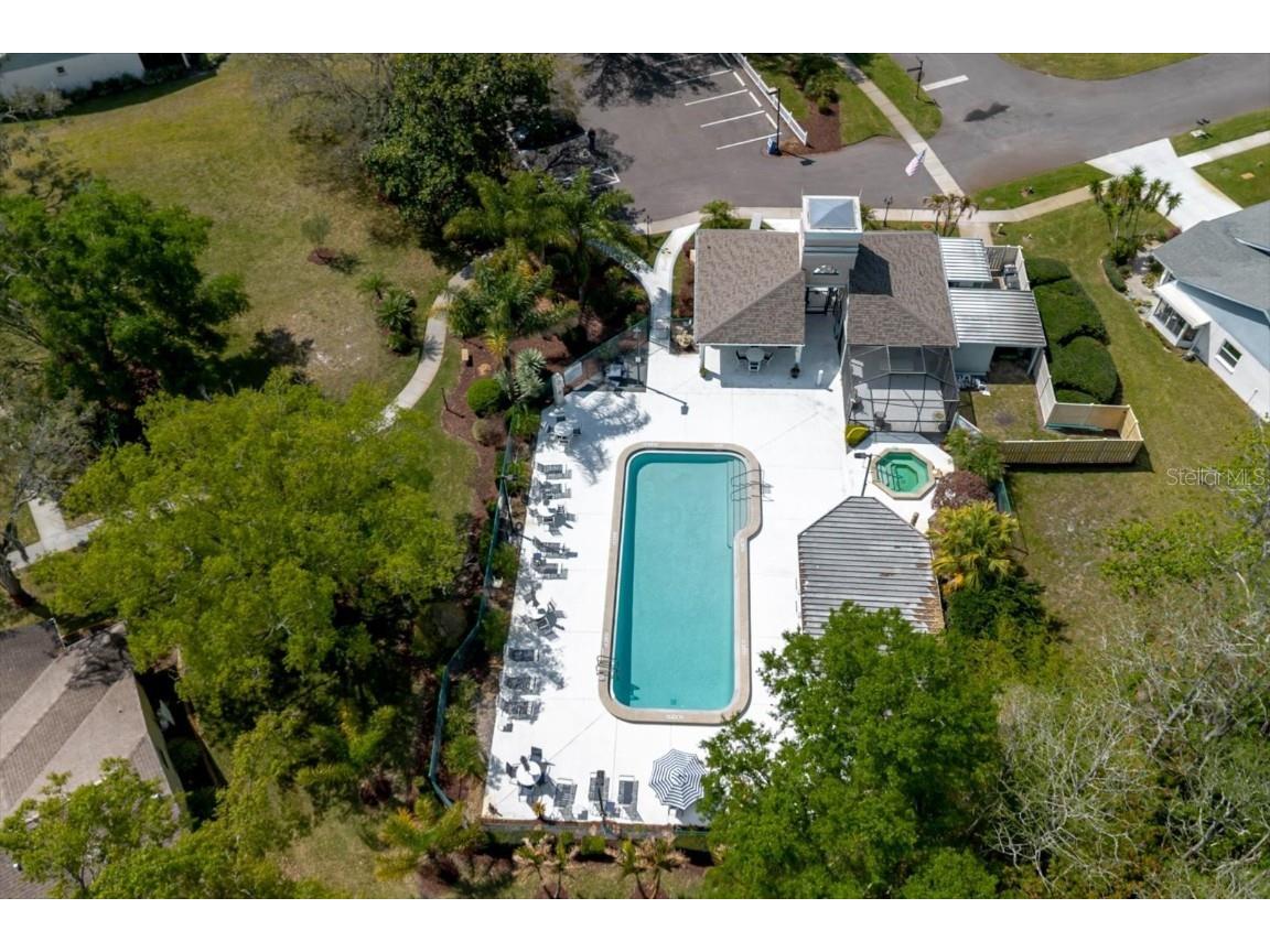 11521 Rose Tree Drive New Port Richey FL 34654 TB8365155 image37