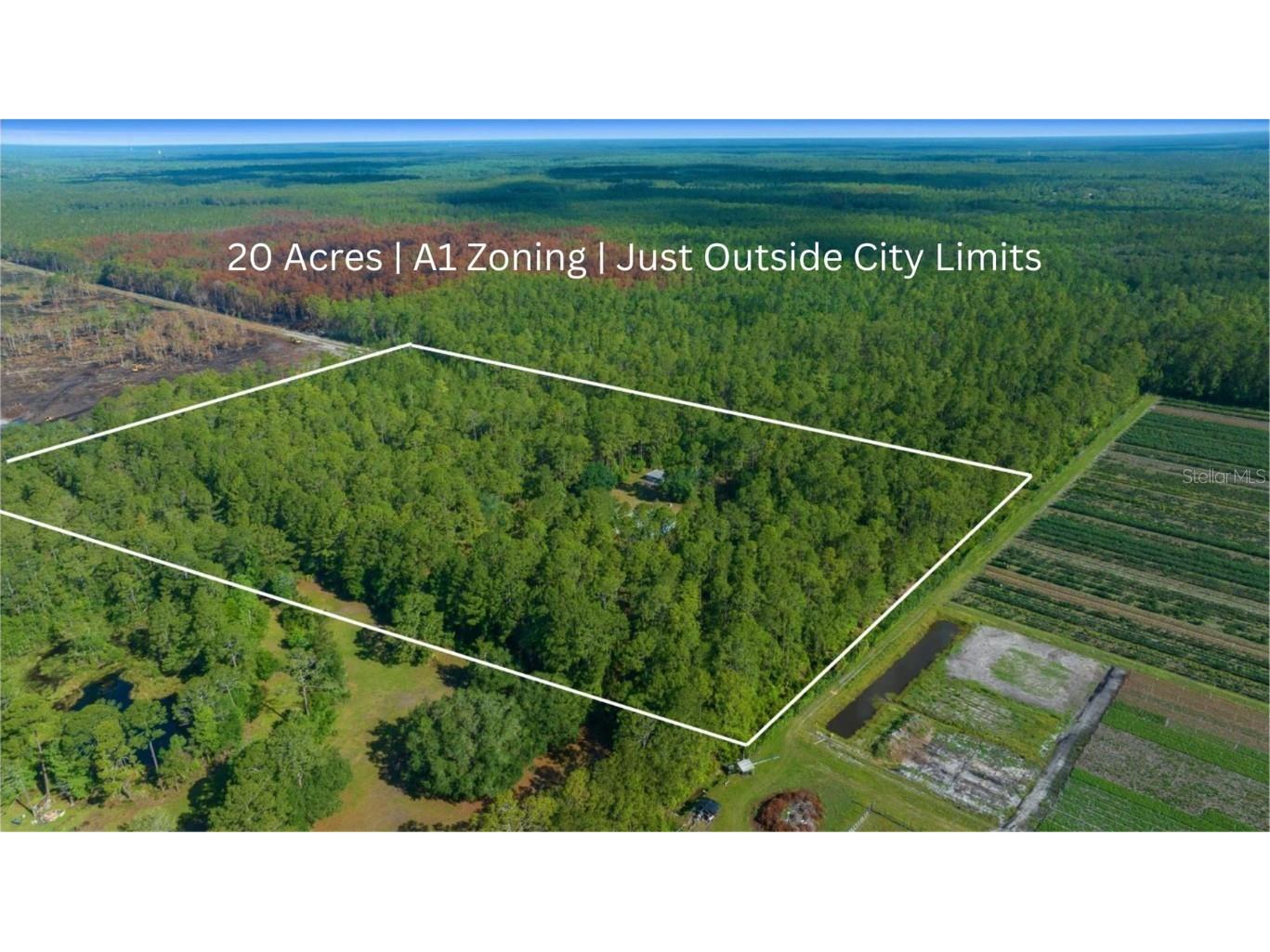 11521 SE 1st Street Road Silver Springs FL 34488 OM701748 image52