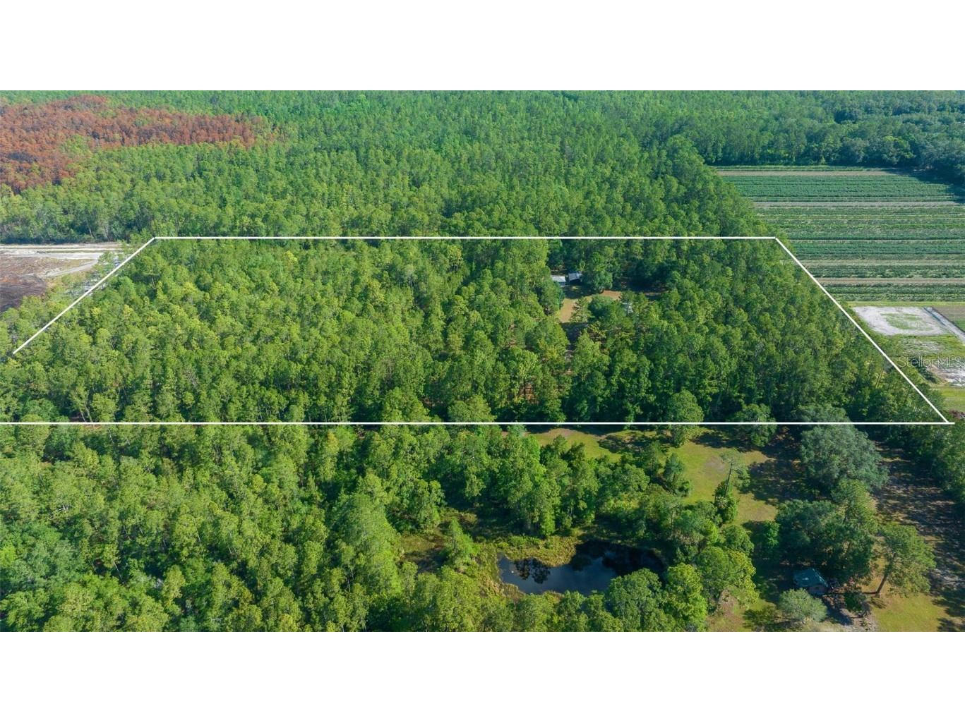 11521 SE 1st Street Road Silver Springs FL 34488 OM701748 image53